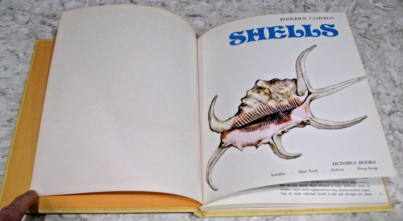 Shells by Roderick Cameron, octopus Books, 1972, 143 Illustrations, HB