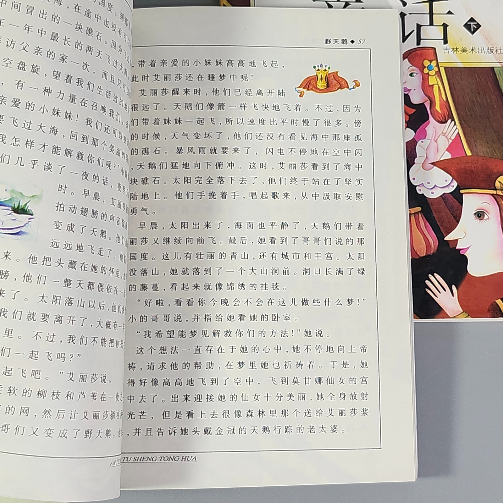 Chinese Text Home School Reading Childrens Books Grimms Andersens Fairy Tales