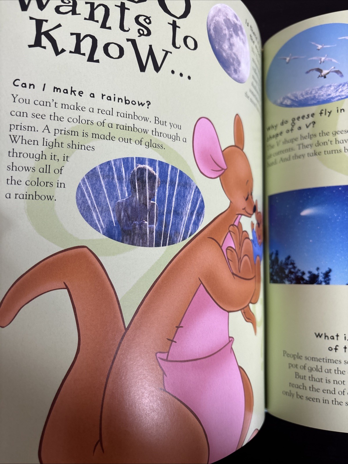 My Very First Encyclopedia with Winnie the Pooh and Friends Ser.: My Very First