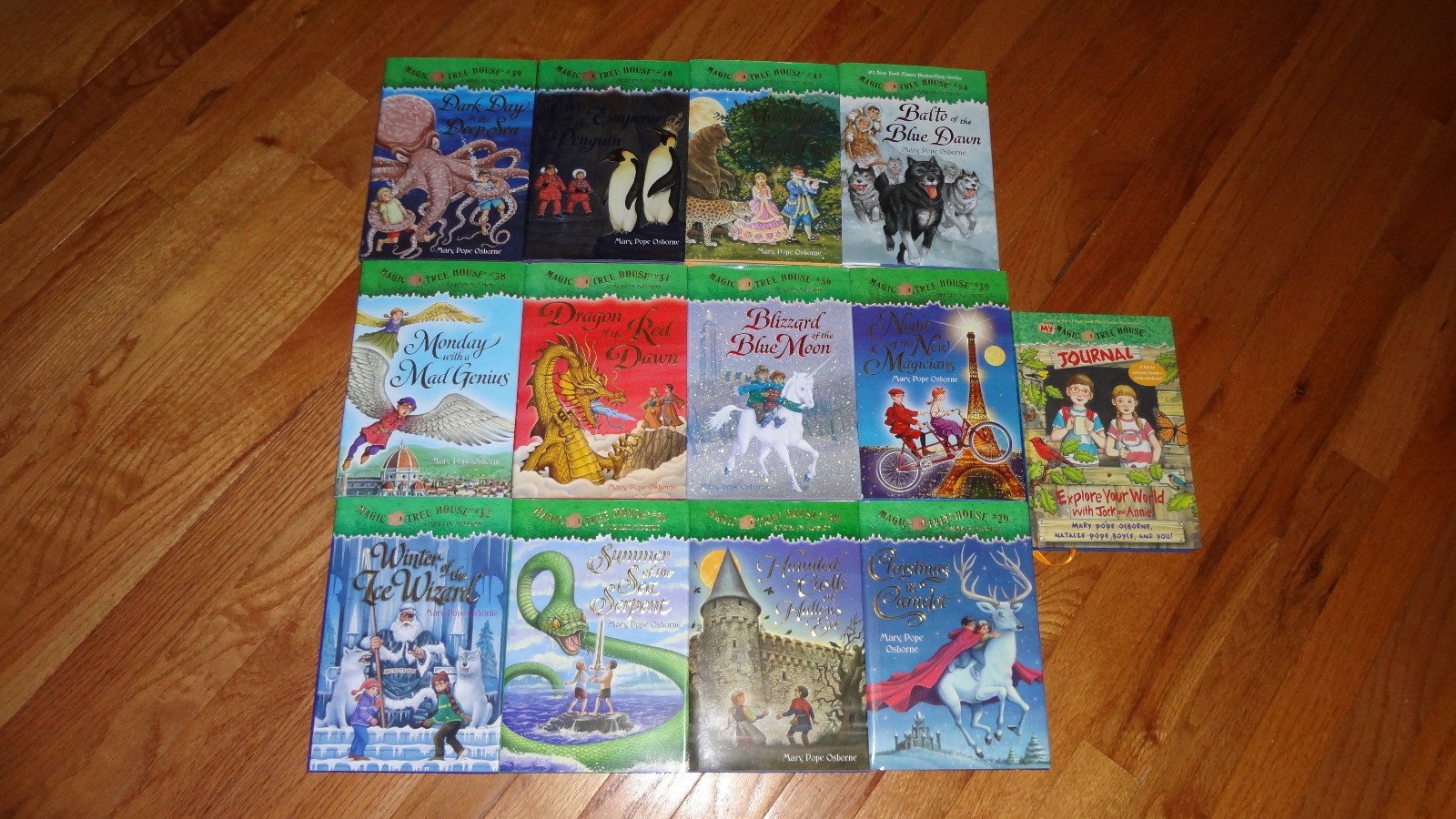 Magic Tree House Hardcover LOT of 13 29, 30, 31, 32, 35, 36, 37, 38, 40, 41, 54+