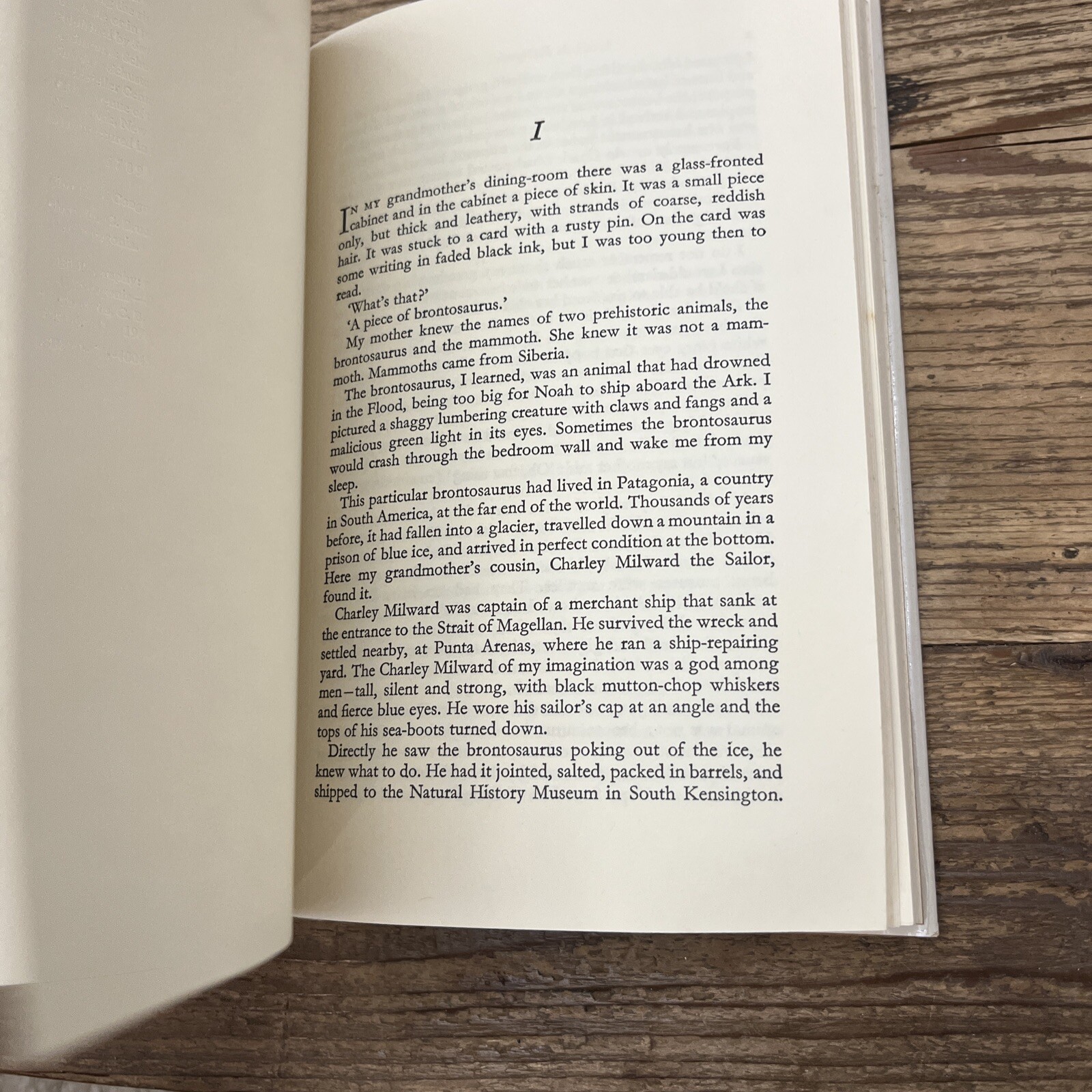 In Patagonia by Bruce Chatwin (1978, Hardcover)