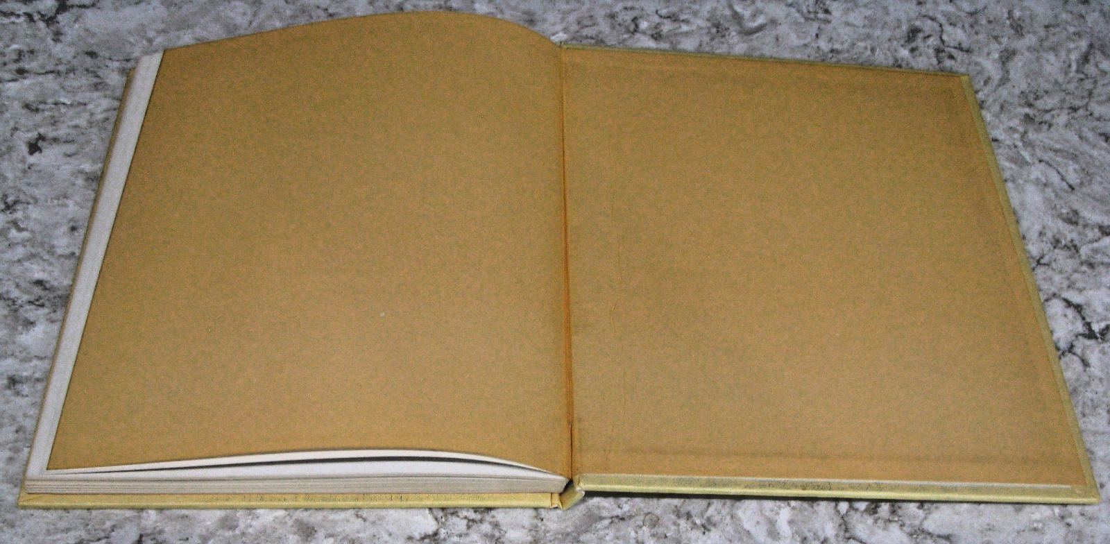 Shells by Roderick Cameron, octopus Books, 1972, 143 Illustrations, HB