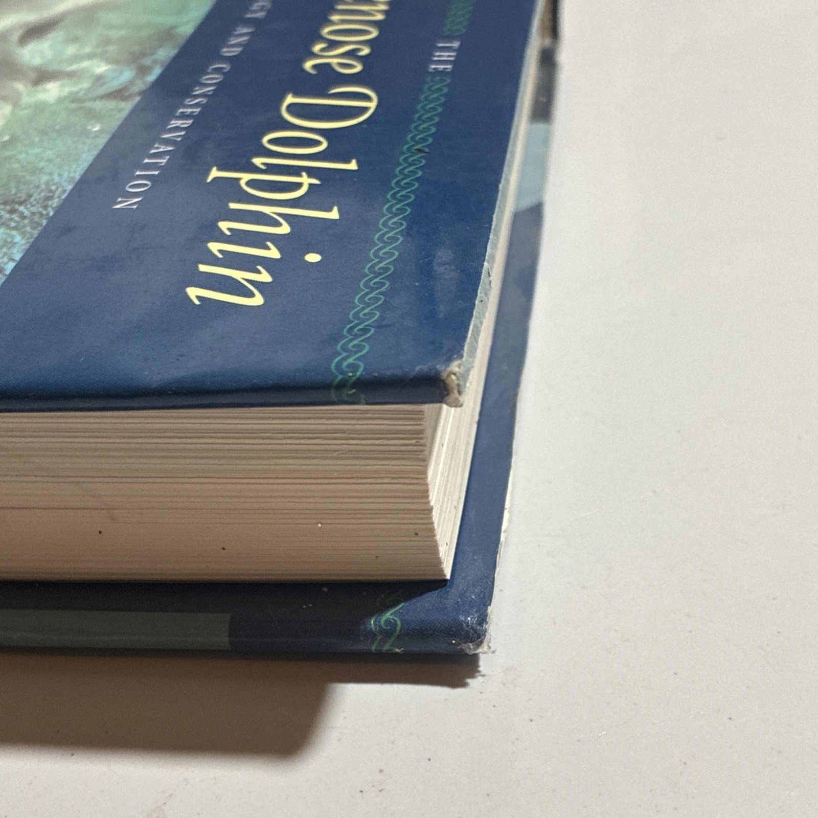 Bottlenose Dolphin Dolphins Book by John Reynolds Marine Biology Cetacean Books