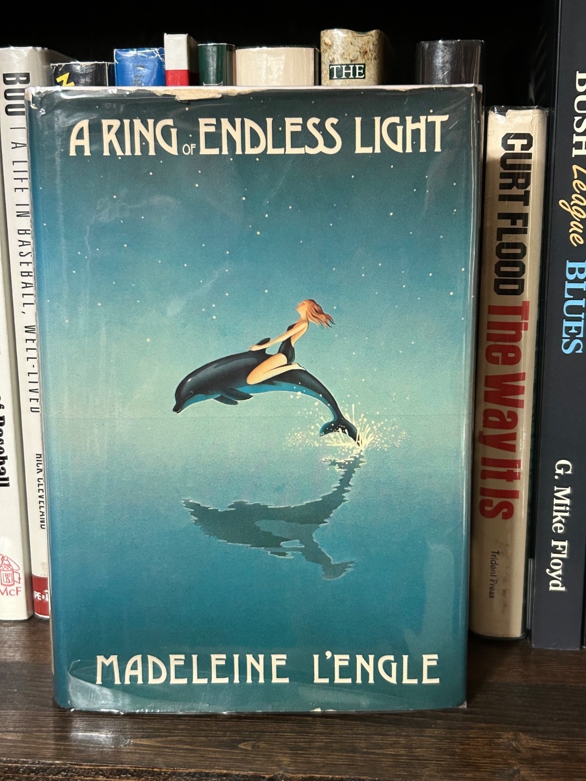 A Ring of Endless Light Madeleine L’Engle 1980 First Edition First Print