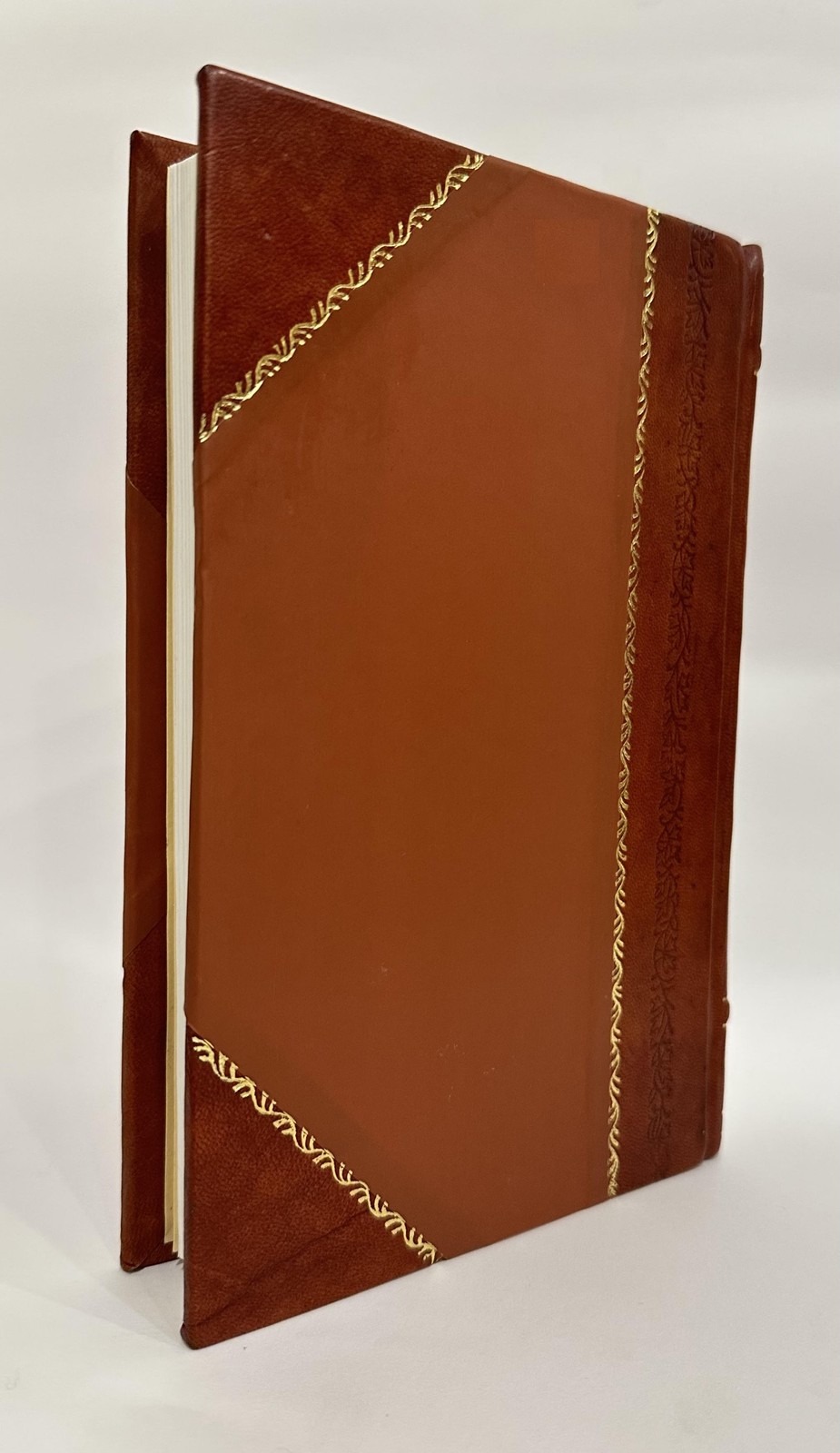 L’Uomo Delinquente : Studiato in Rapporto Alla Antropologia, Al [Leather Bound]