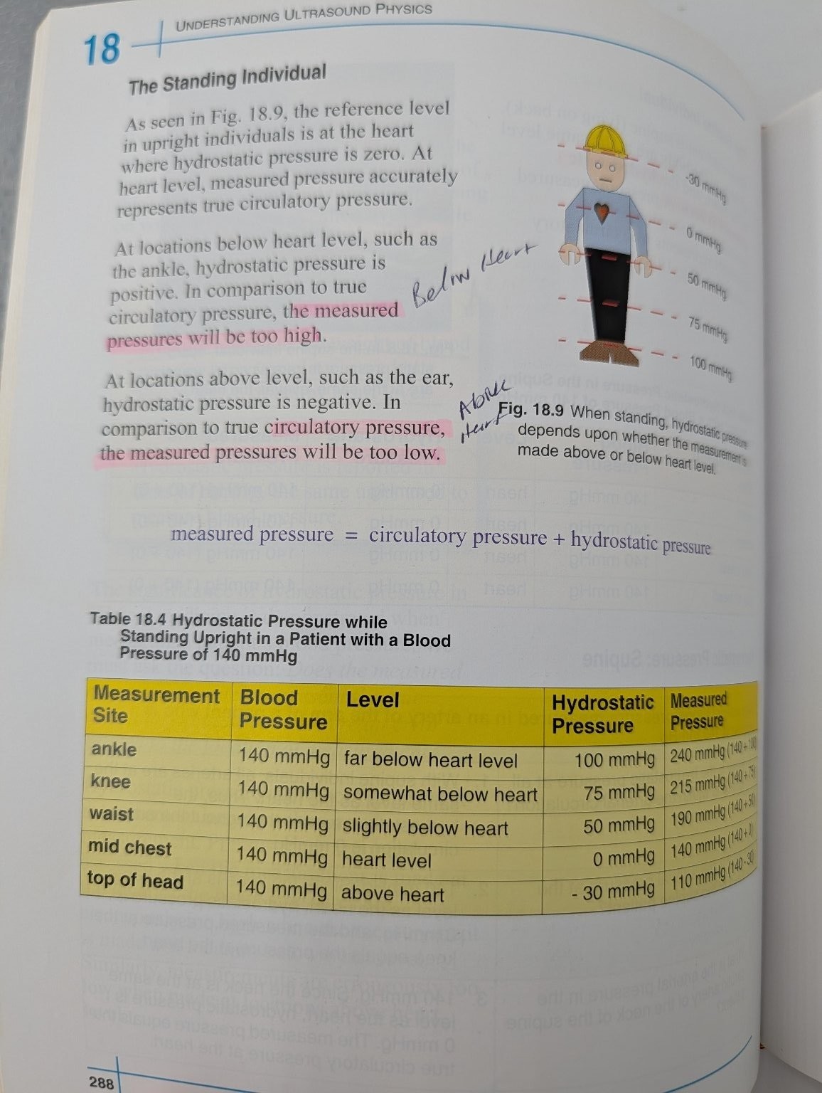 Understanding Ultrasound Physics Edelman Third Edition ESP Inc. Medical