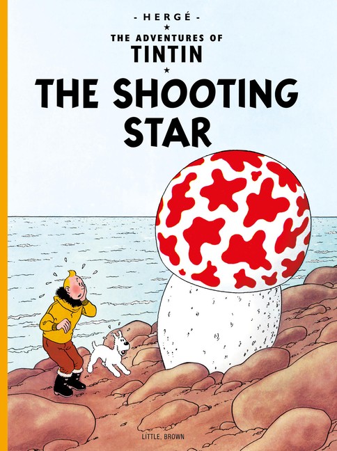 The Shooting Star Paperback by Little, Brown Books for Young Readers