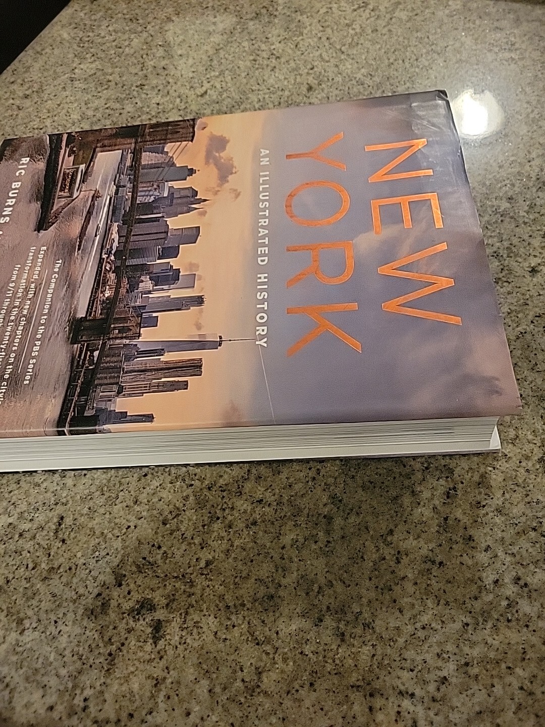 New York An Illustrated History Revised And Expanded Third Edition Rare Hardback