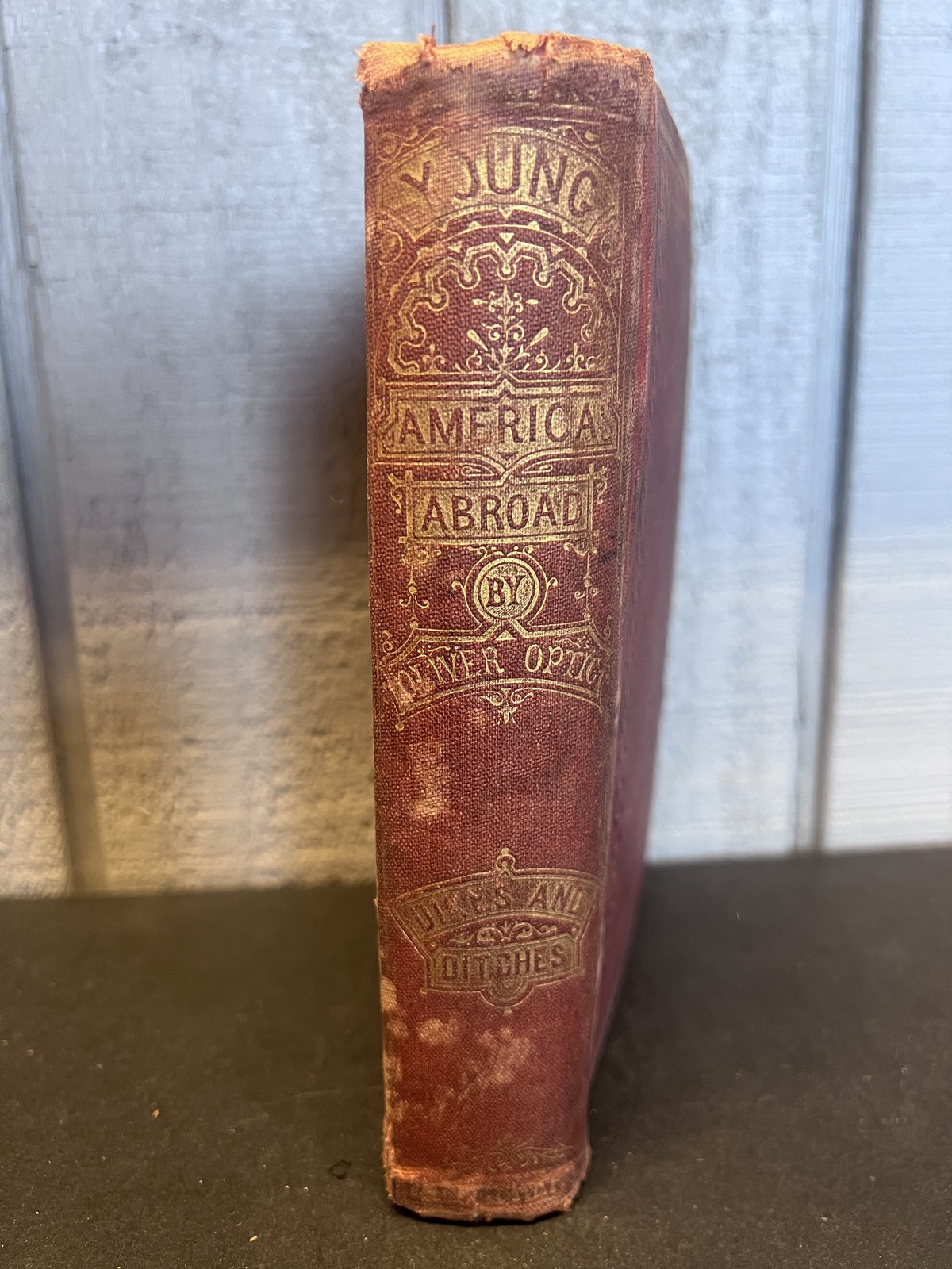 Dikes and Ditches Young America in Holland Belgium Oliver Optic 1874 Vintage