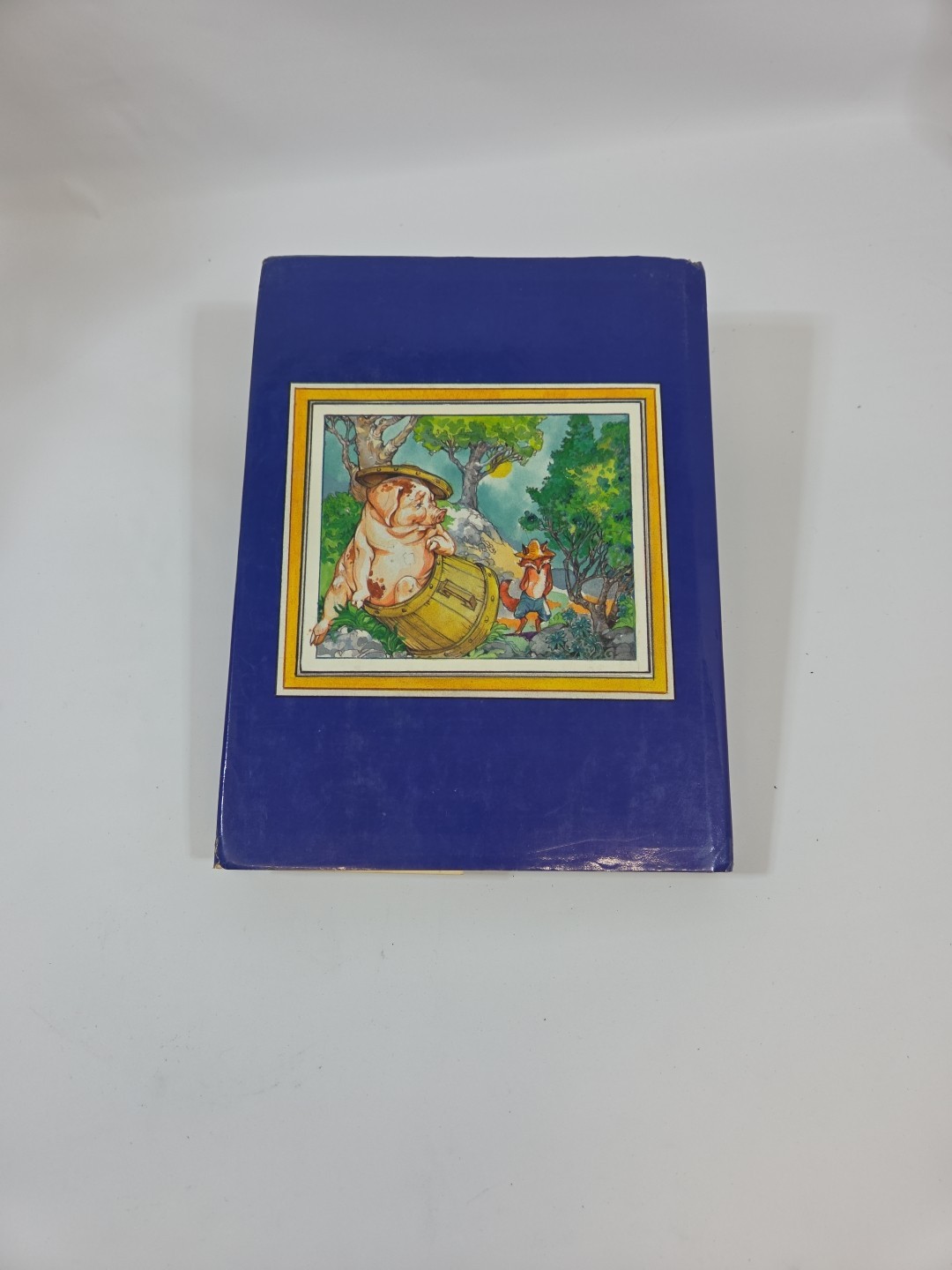 The World Treasury of Children’s Literature 1984 HCDJ Illustrat Collectable Book