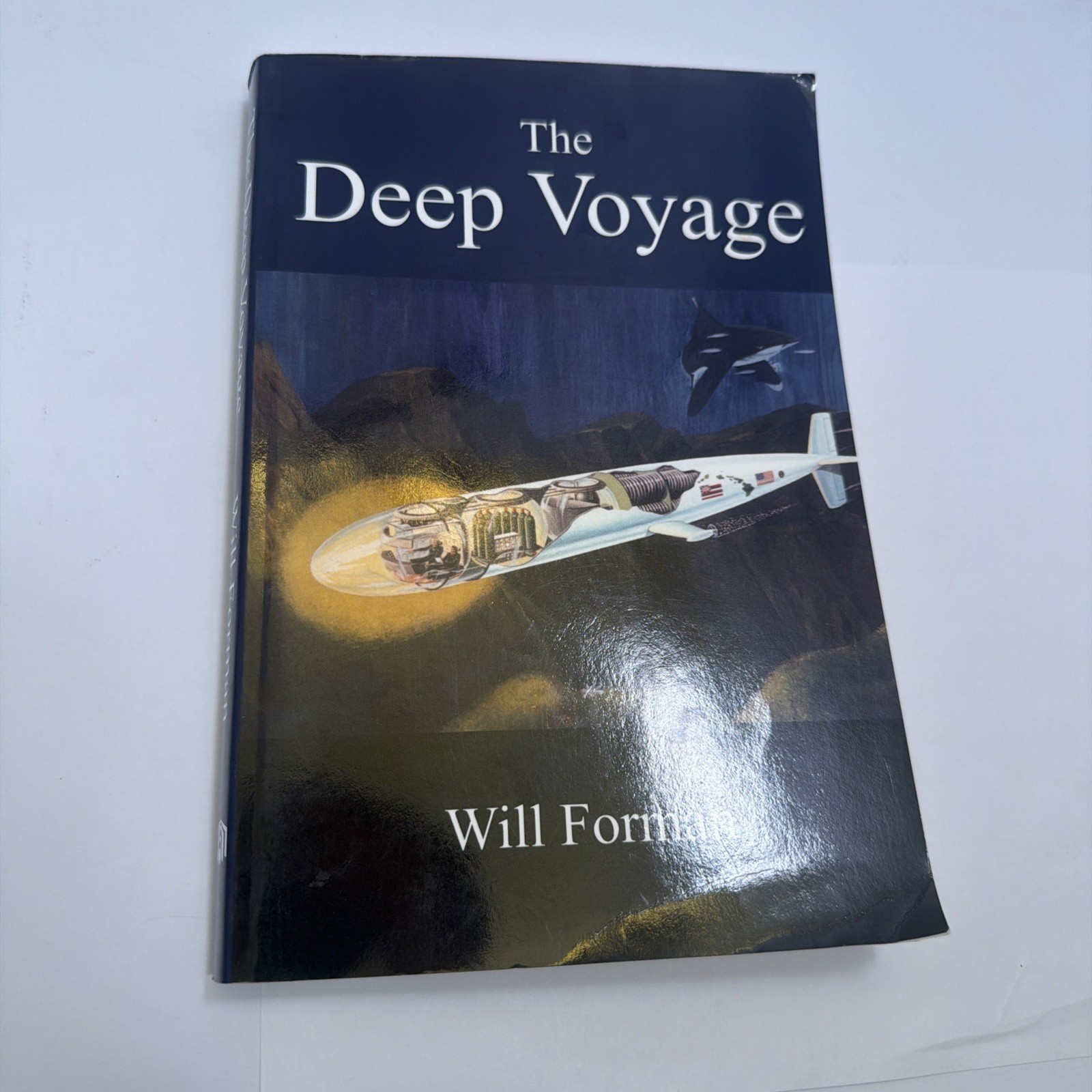 The Deep Voyage (Paperback or Softback)