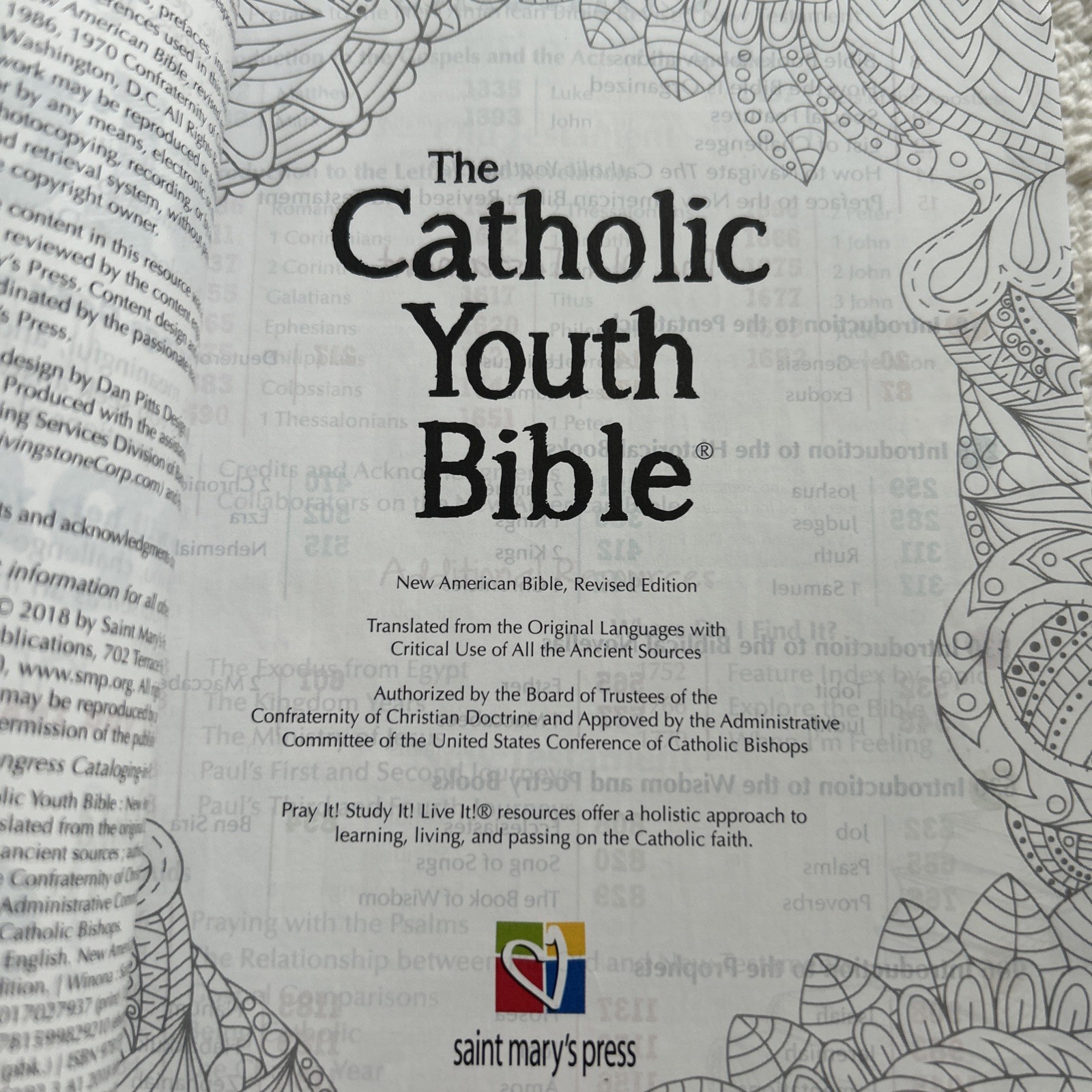 The Catholic Youth Bible New American Bible Revised Edition & Teen Bible NAB