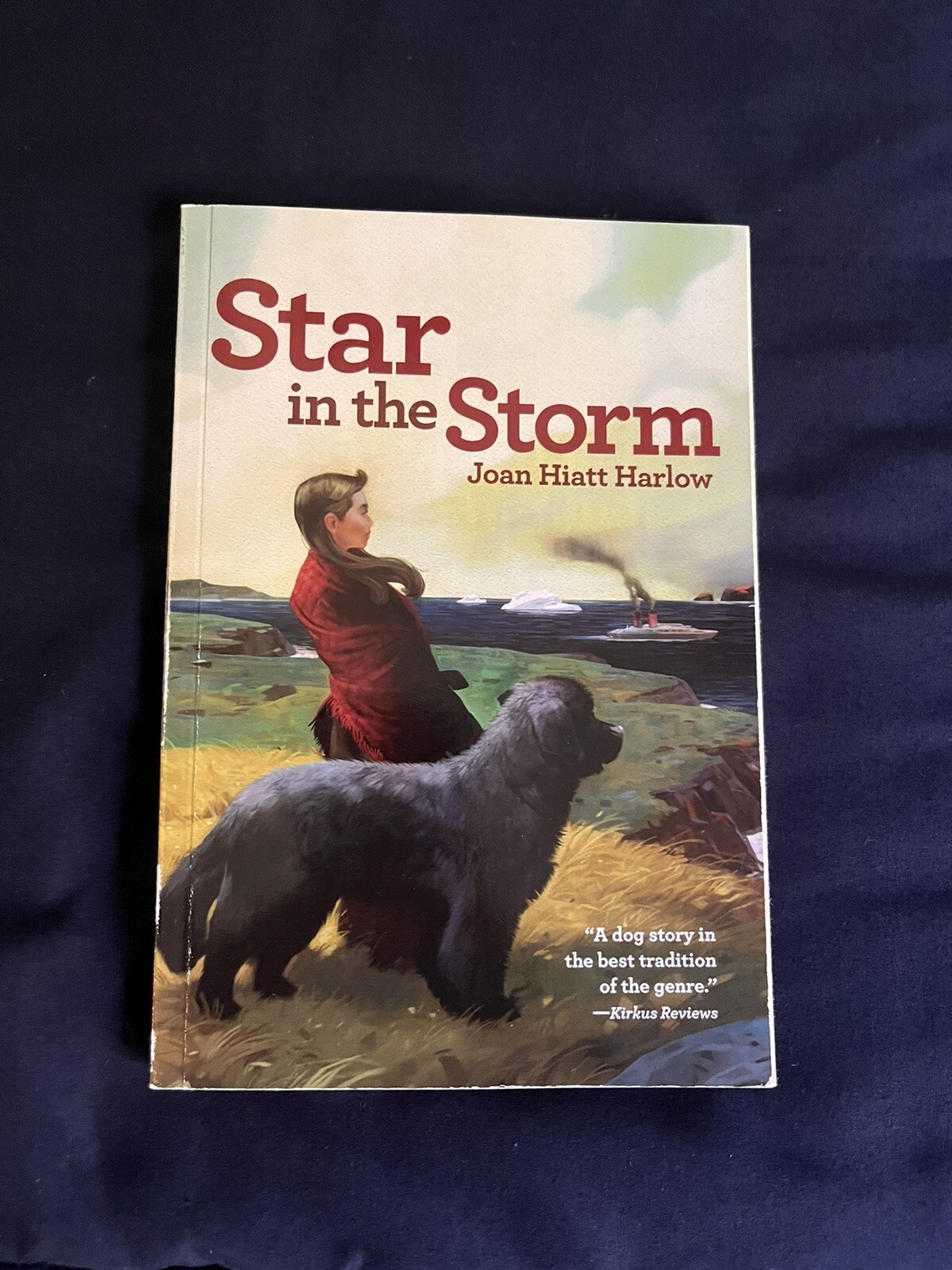 Star in the Storm, Paperback, 144 pages, Dimensions 5.5 x 0.6 x 8.25 inches