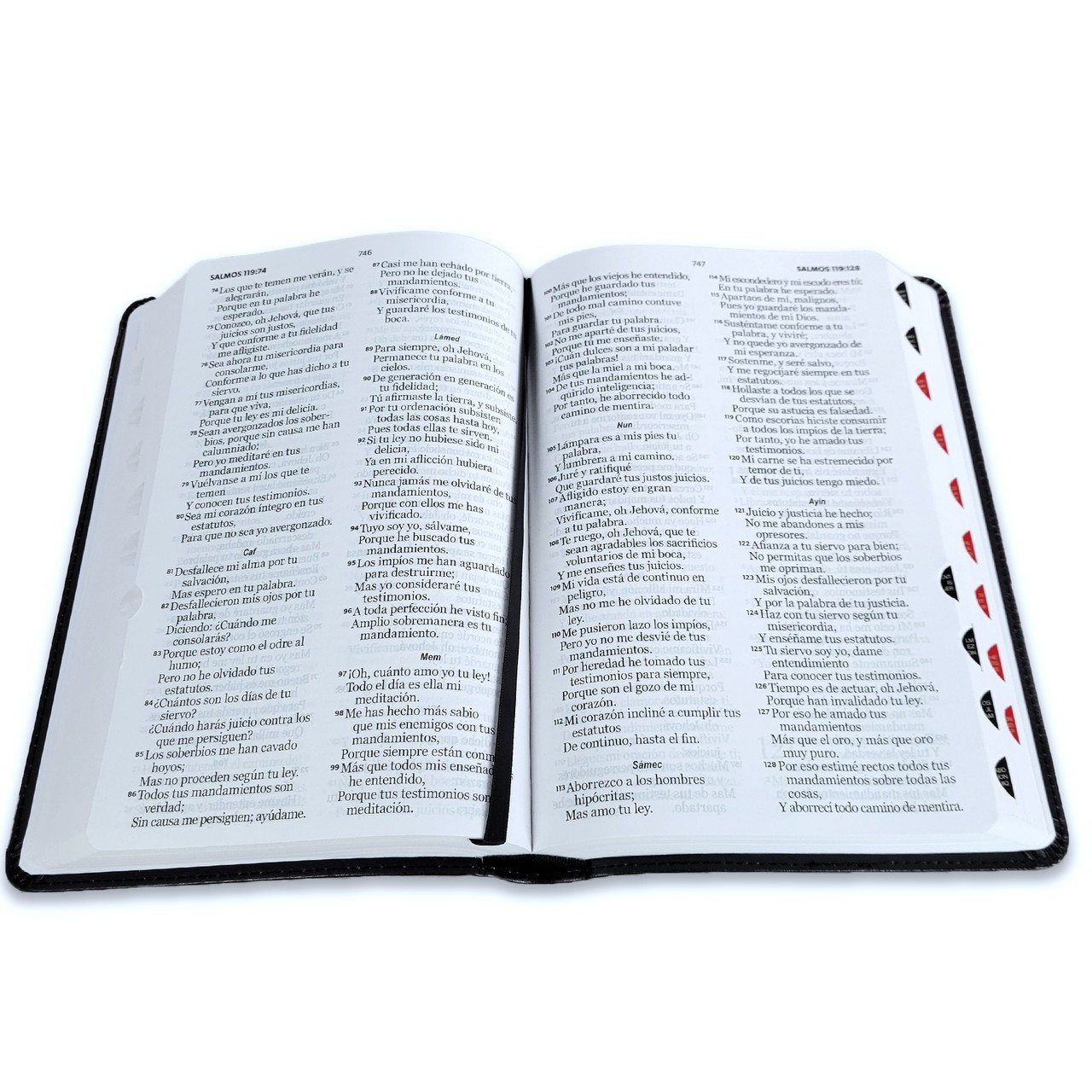 Biblia Letra Grande 12 puntos RV1960 imit piel negro cordero y leon con indice