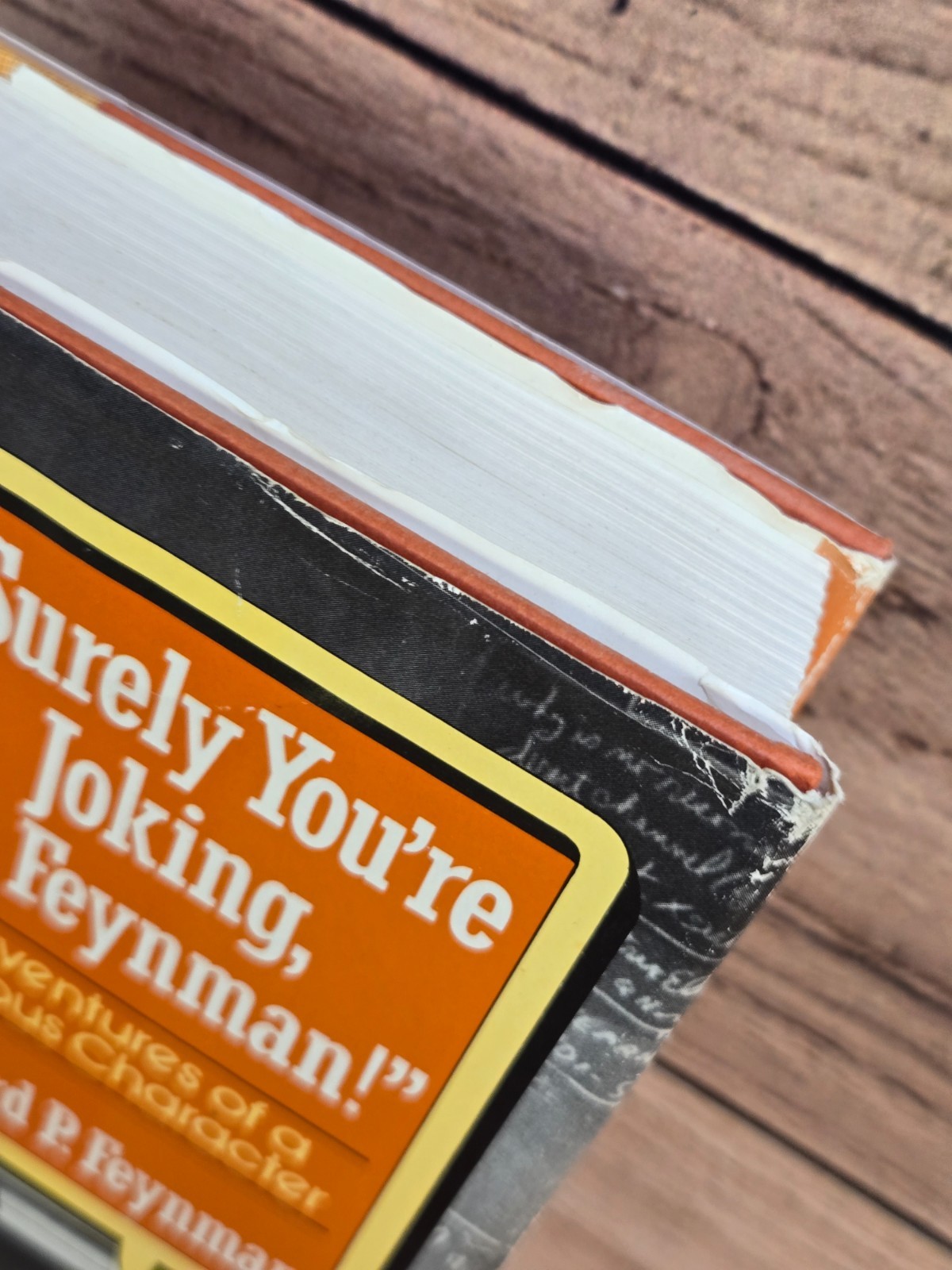 Vtg “SURELY YOU’RE JOKING, MR. FEYNMAN!” Richard Feynman 1985 HC/DJ Norton & Co.