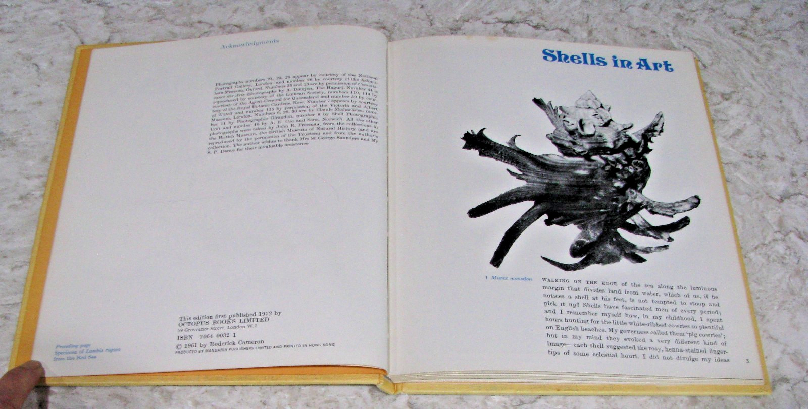 Shells by Roderick Cameron, octopus Books, 1972, 143 Illustrations, HB