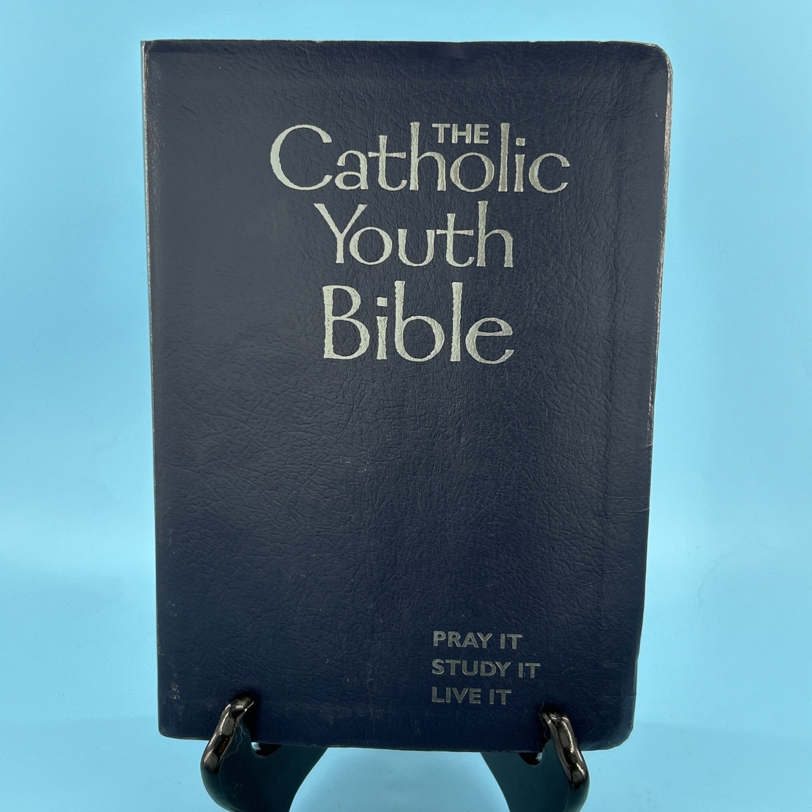 The Catholic Youth Bible New American Bible Revised Saint Marys Press NABRE