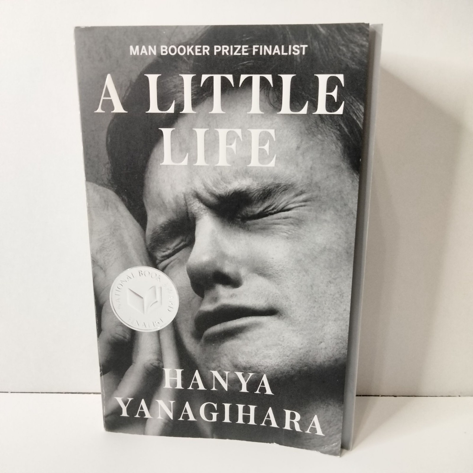 A Little Life By Hanya Yanagihara Paperback Novel Man Booker Prize Finalist