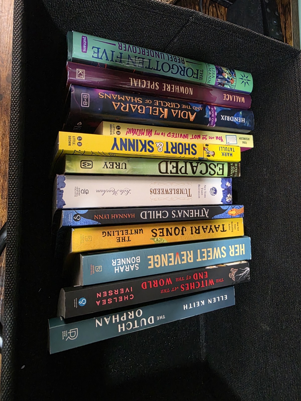 Lot of Mixed Almost 10-LBS Paper/Hard Cover Books 1 Autographed Lisa McMANN