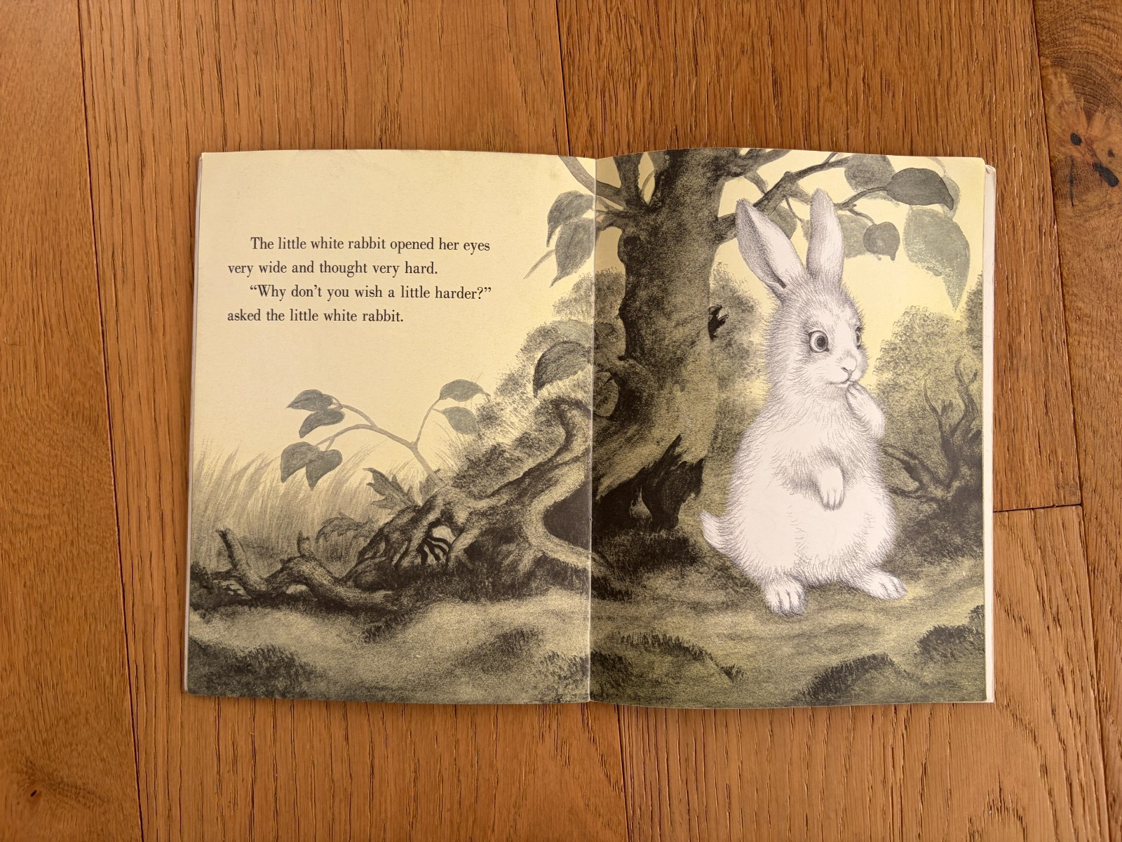 The Rabbits’ Wedding by Garth Williams 1st Picture Lions PB 1973 Vintage
