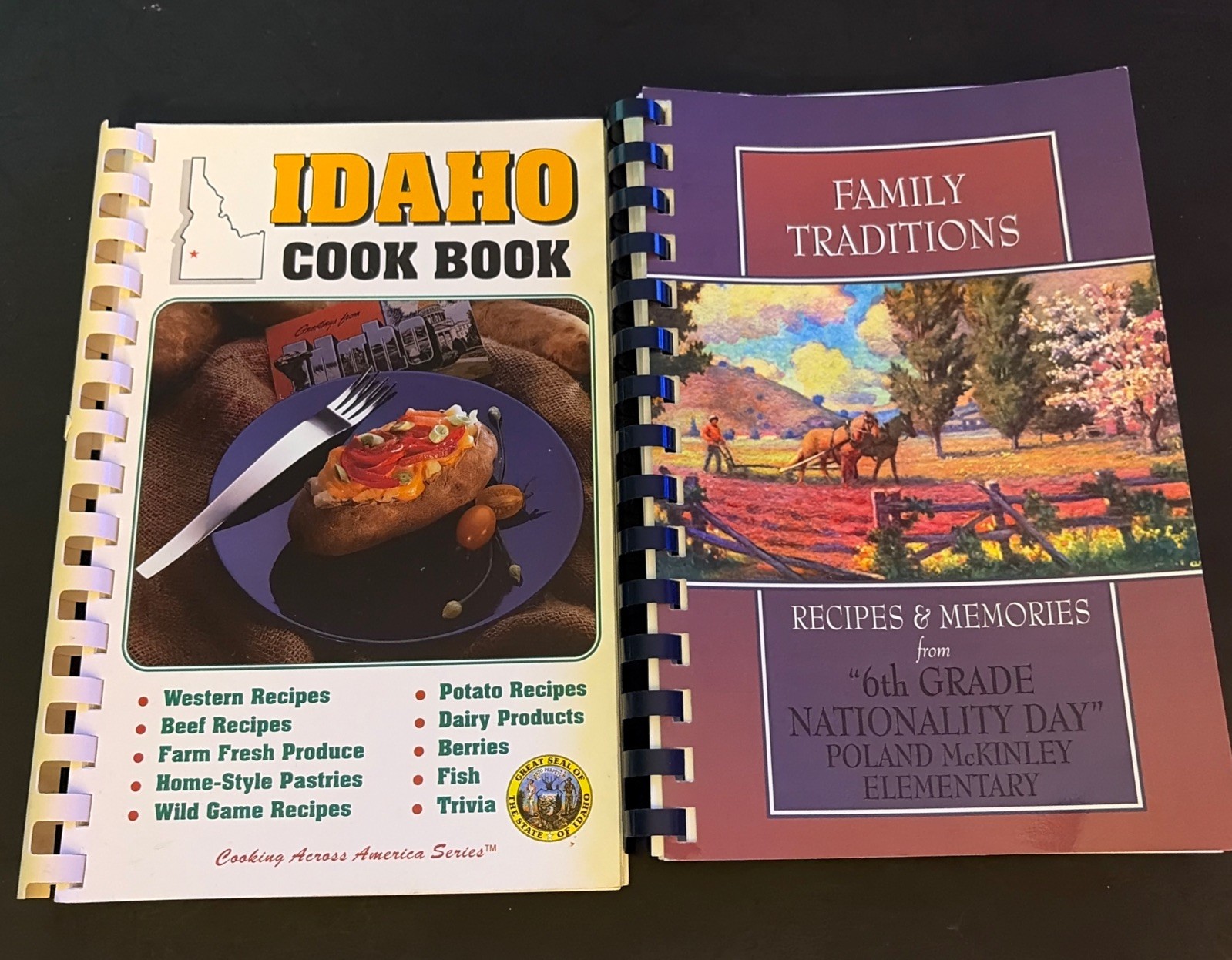 Lot Of 2 Vintage Cookbooks