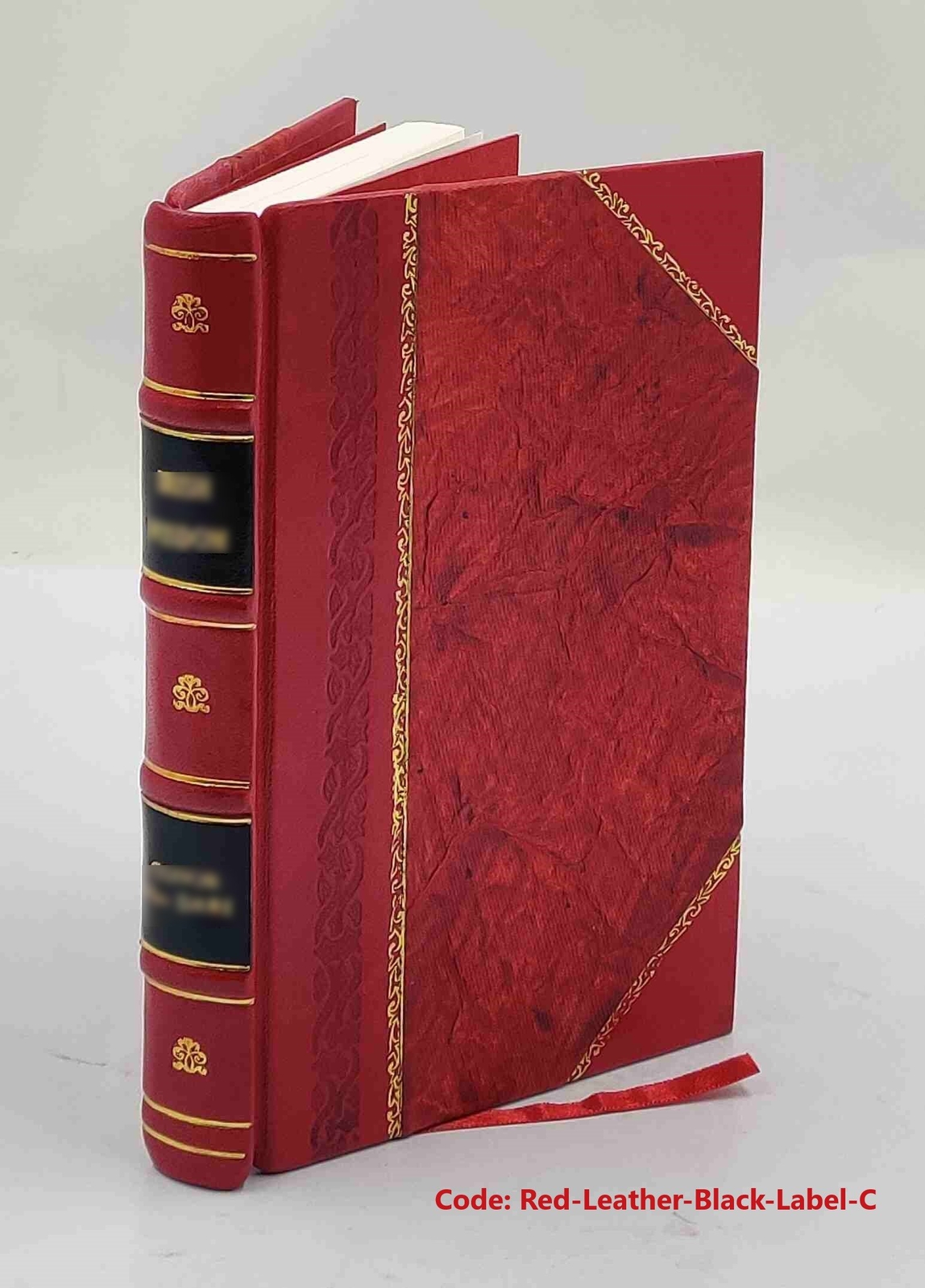 The United States Coast Guard Auxiliary : a history, 1939-1999 / [Leather Bound]