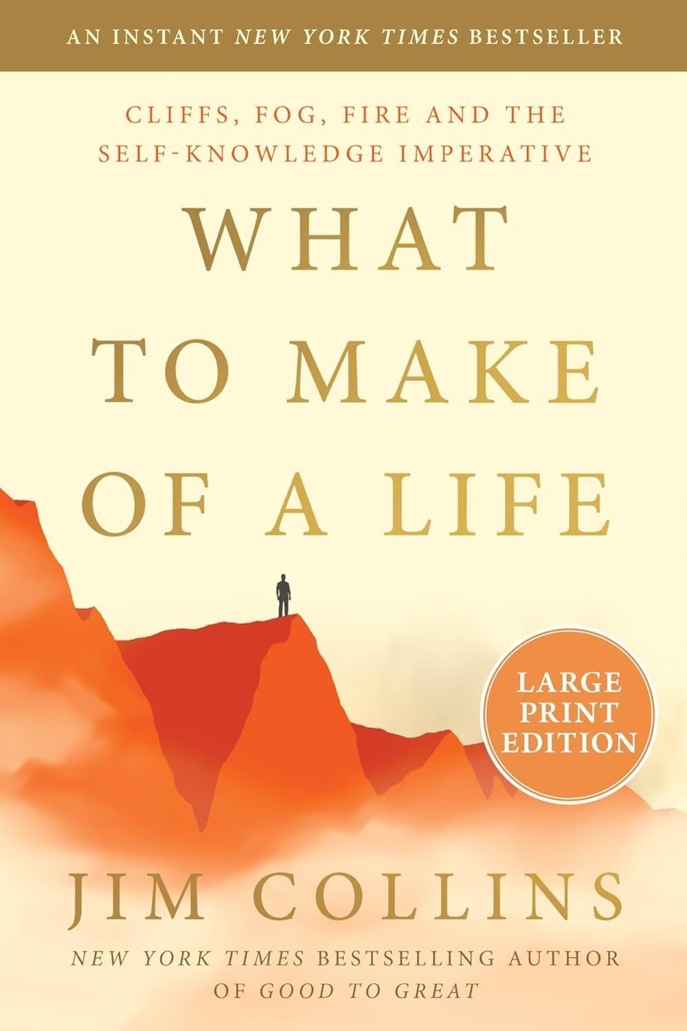 What to Make of a Life: Cliffs, Fog, Fire and the Self-Knowledge Imperative
