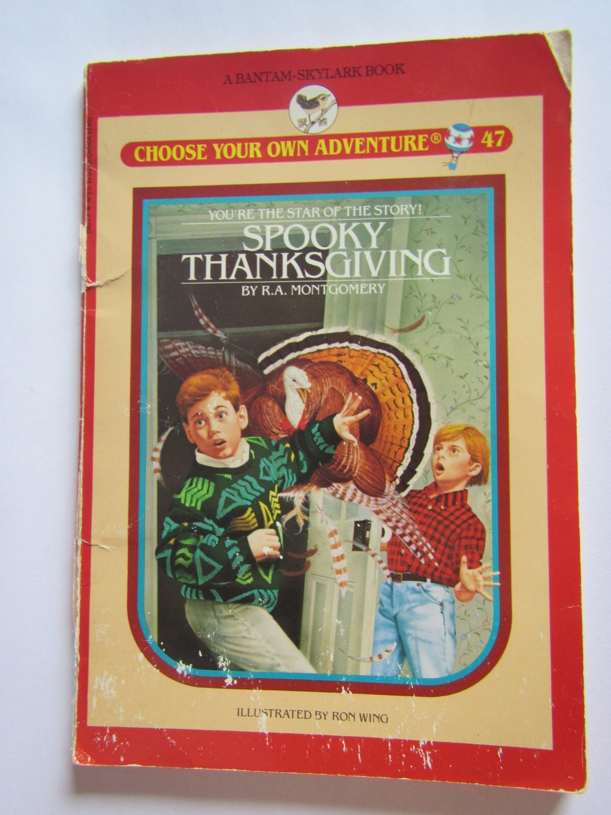 Choose Your Own Adventure Skylark #47 Spooky Thanksgiving by R. A. Montgomery