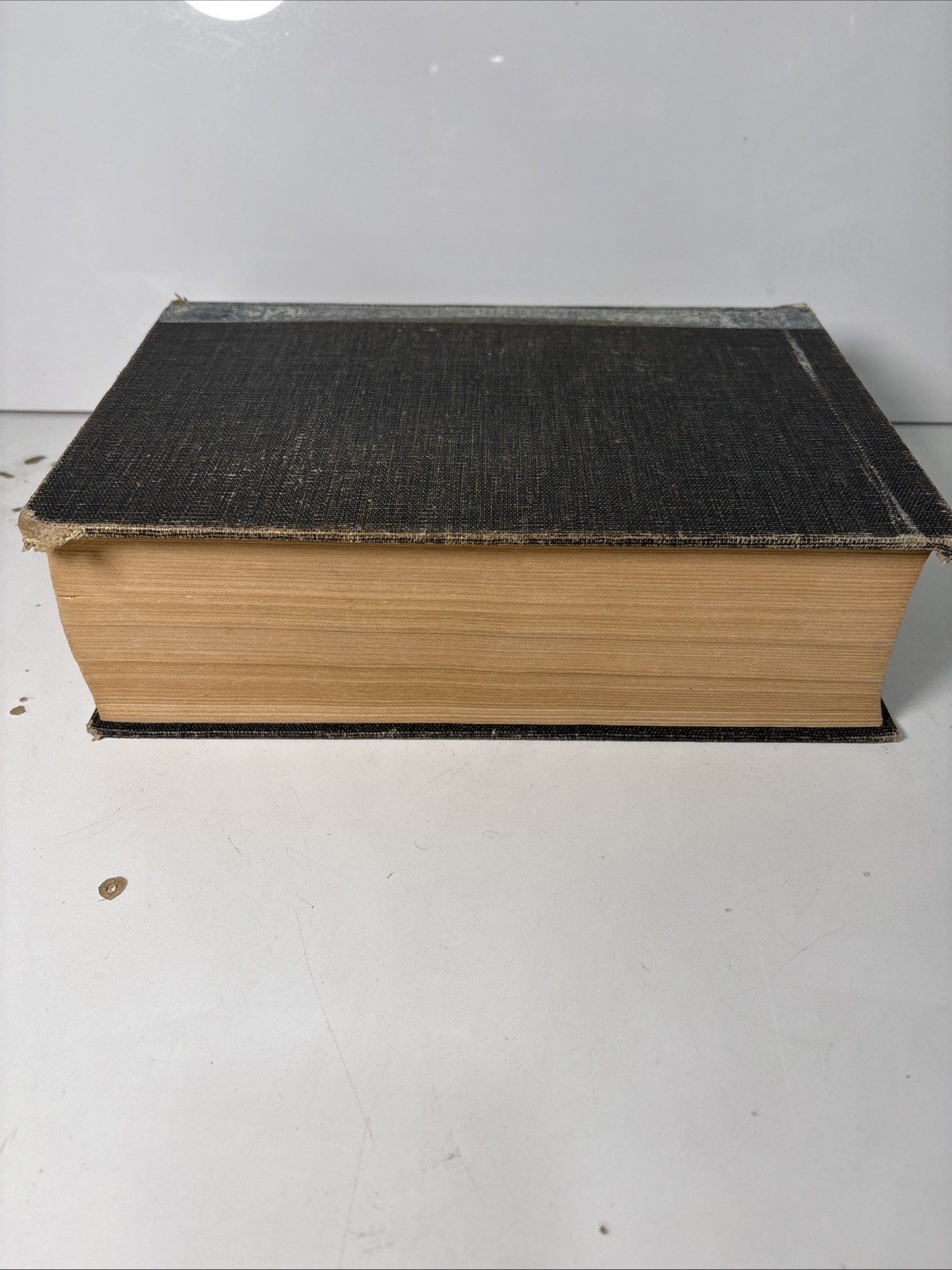 THE NEWBERRY STUDY BIBLE by THOMAS NEWBERRY LARGE-TYPE REFERENCE EDITION 1960