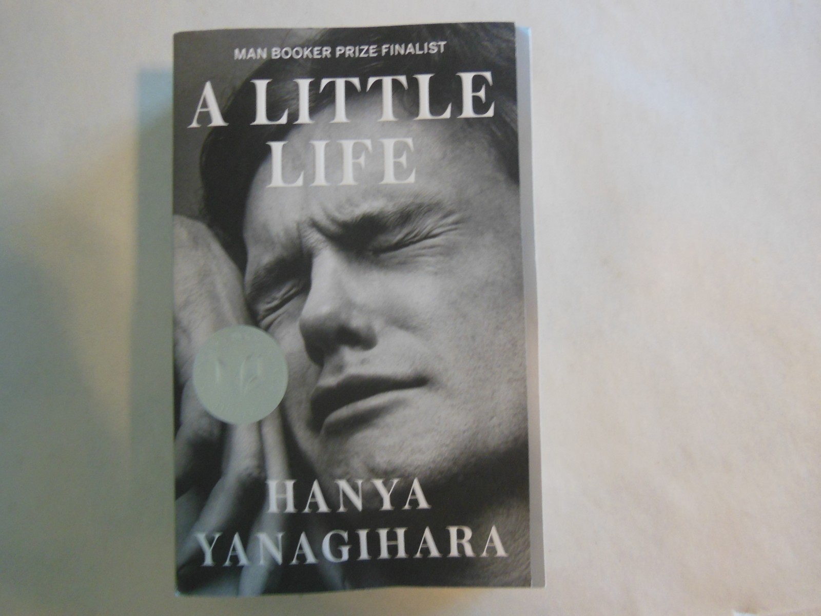 Little Life by Hanya Yanagihara (2016, Trade Paperback)