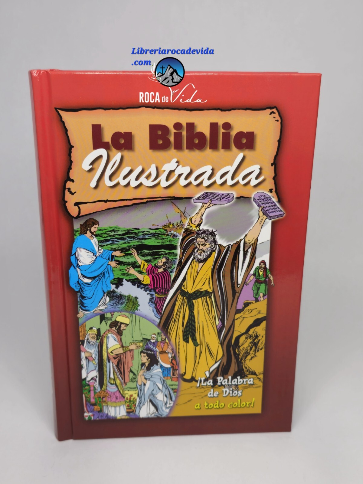 La Biblia Para Niños Y Jóvenes Ilustrado La Palabra De Dios A Todo Color Tapa D