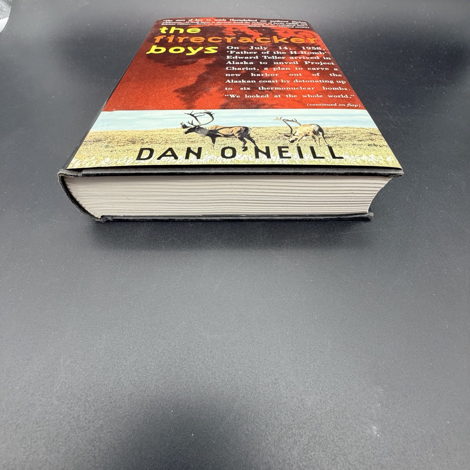 The Firecracker Boys Dan O’Neill 1994 HC Dust Jacket Alaska History