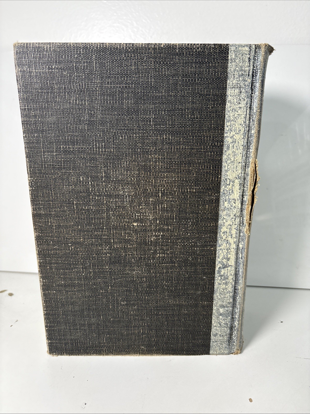 THE NEWBERRY STUDY BIBLE by THOMAS NEWBERRY LARGE-TYPE REFERENCE EDITION 1960