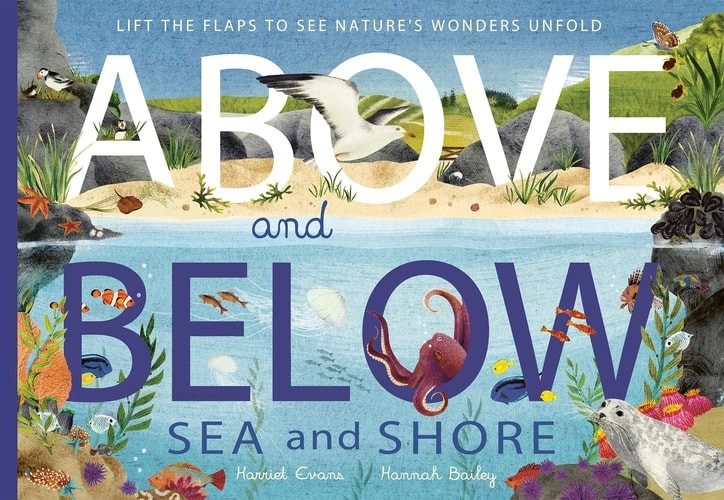Above and Below: Sea and Shore: Lift the flaps to see nature’s wonders unfold, E