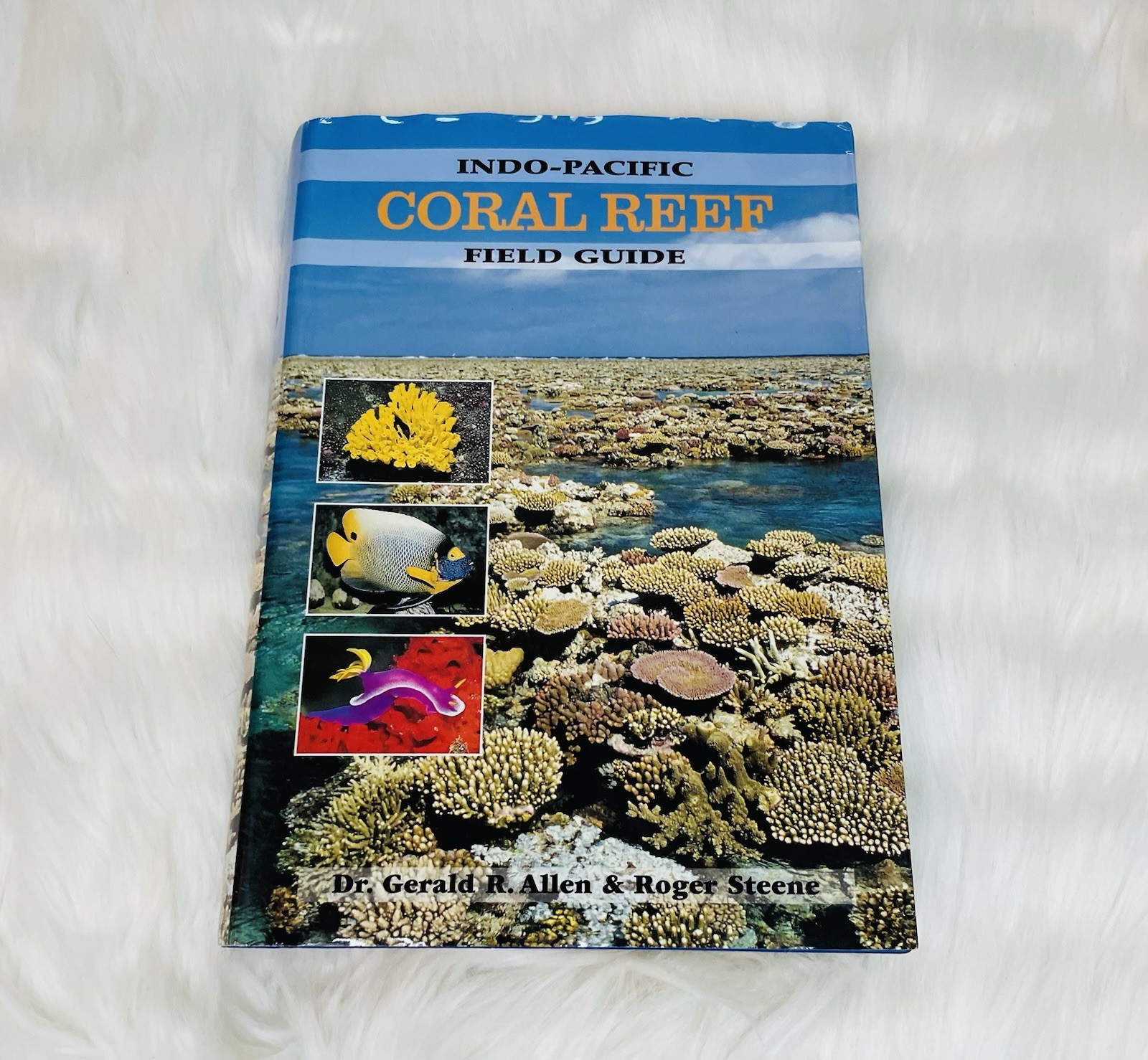 Indo-Pacific Coral Reef Field Guide – Paperback By Gerald R. Allen – GOOD