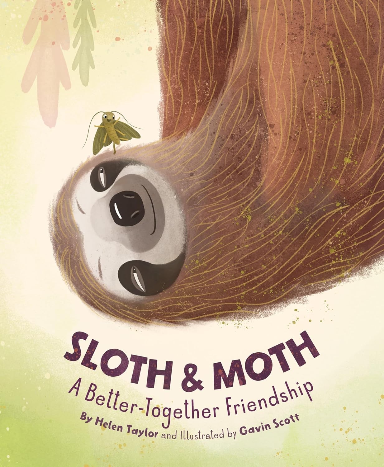 Sloth & Moth: A Better-Together Friendship Hardcover by Helen Taylor