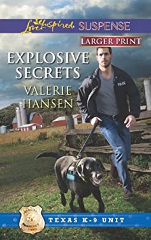 Explosive Secrets Mass Market Paperbound Valerie Hansen