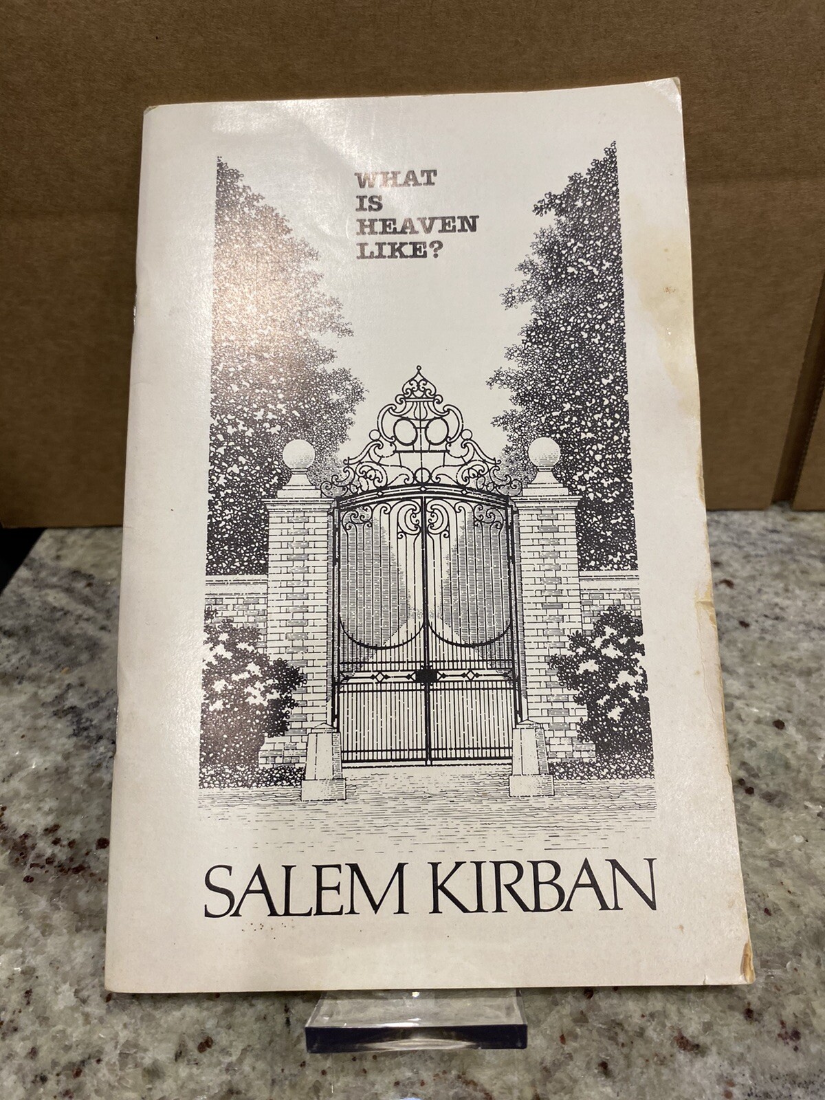 What is Heaven Like? by Salem Kirban (1989, Paperback) Rare, Hard To Find