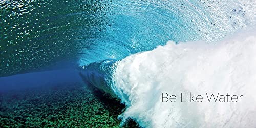Clark Little: The Art of Waves, Little, Clark, Acceptable Book