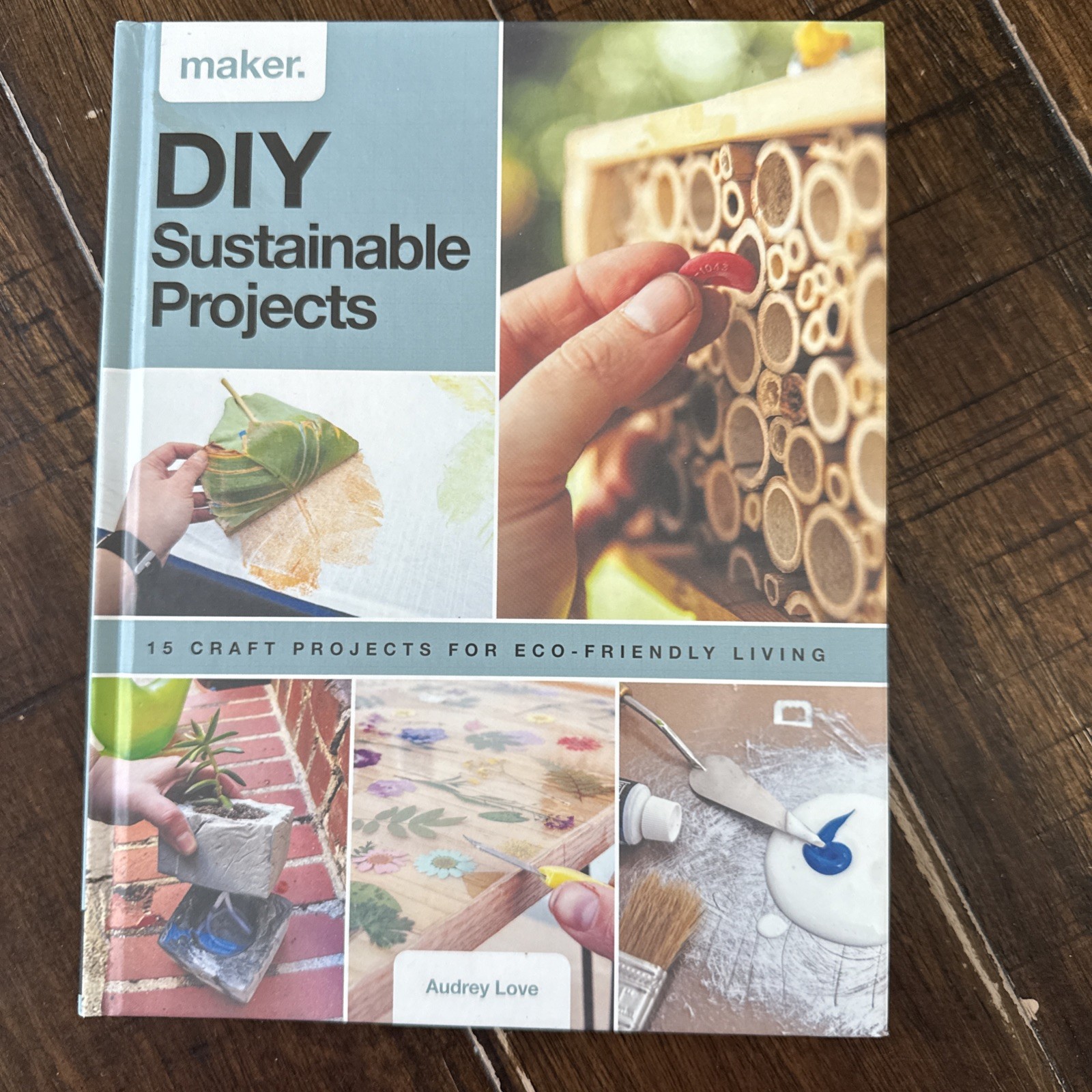 DIY Sustainable Projects : 15 Step-By-step Projects for Eco-friendly Living
