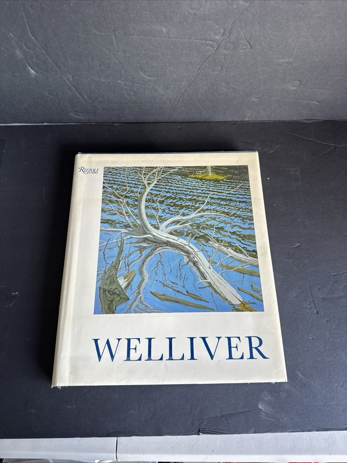Neil Welliver Art Monograph Hardcover 1985 Rizzoli w/ Dust Jacket Large Format