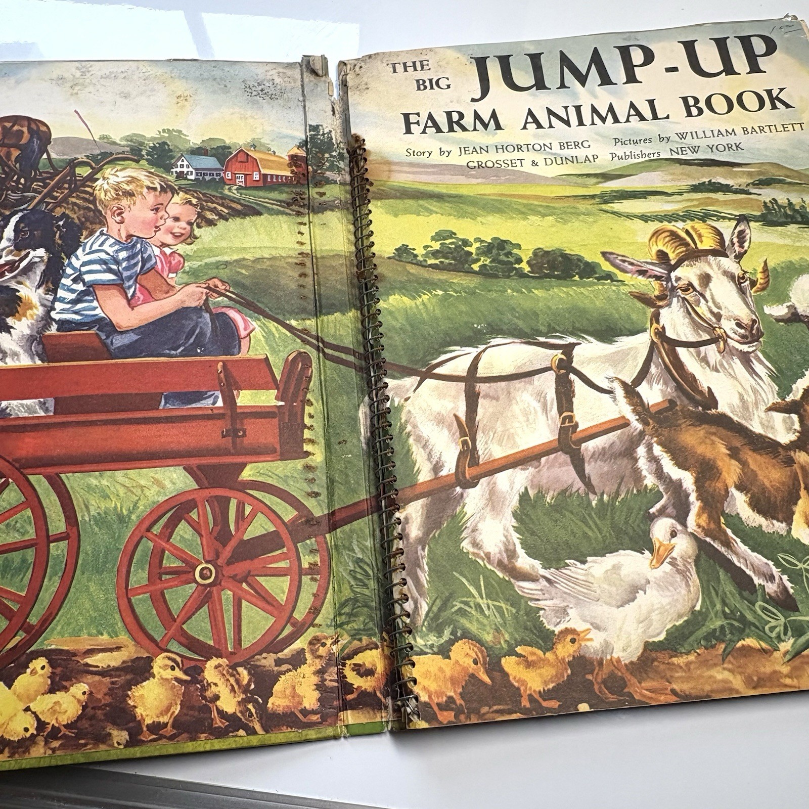THE BIG JUMP UP FARM ANIMAL BOOK 1954 Huge Pop Ups Beautiful Illustrations