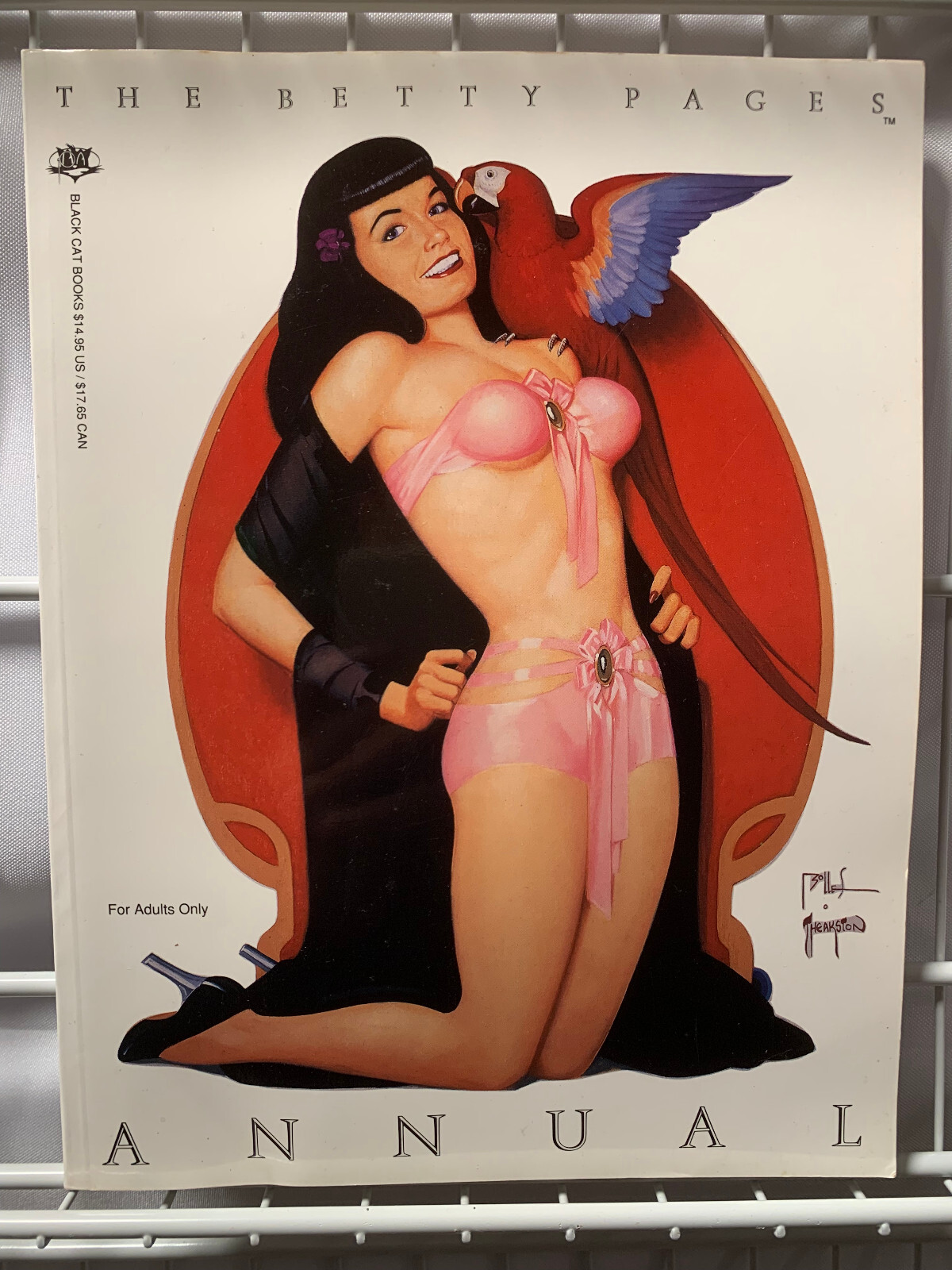 The Betty Pages Annual Color/B&W 168 Pages 1991 Black Cat Books