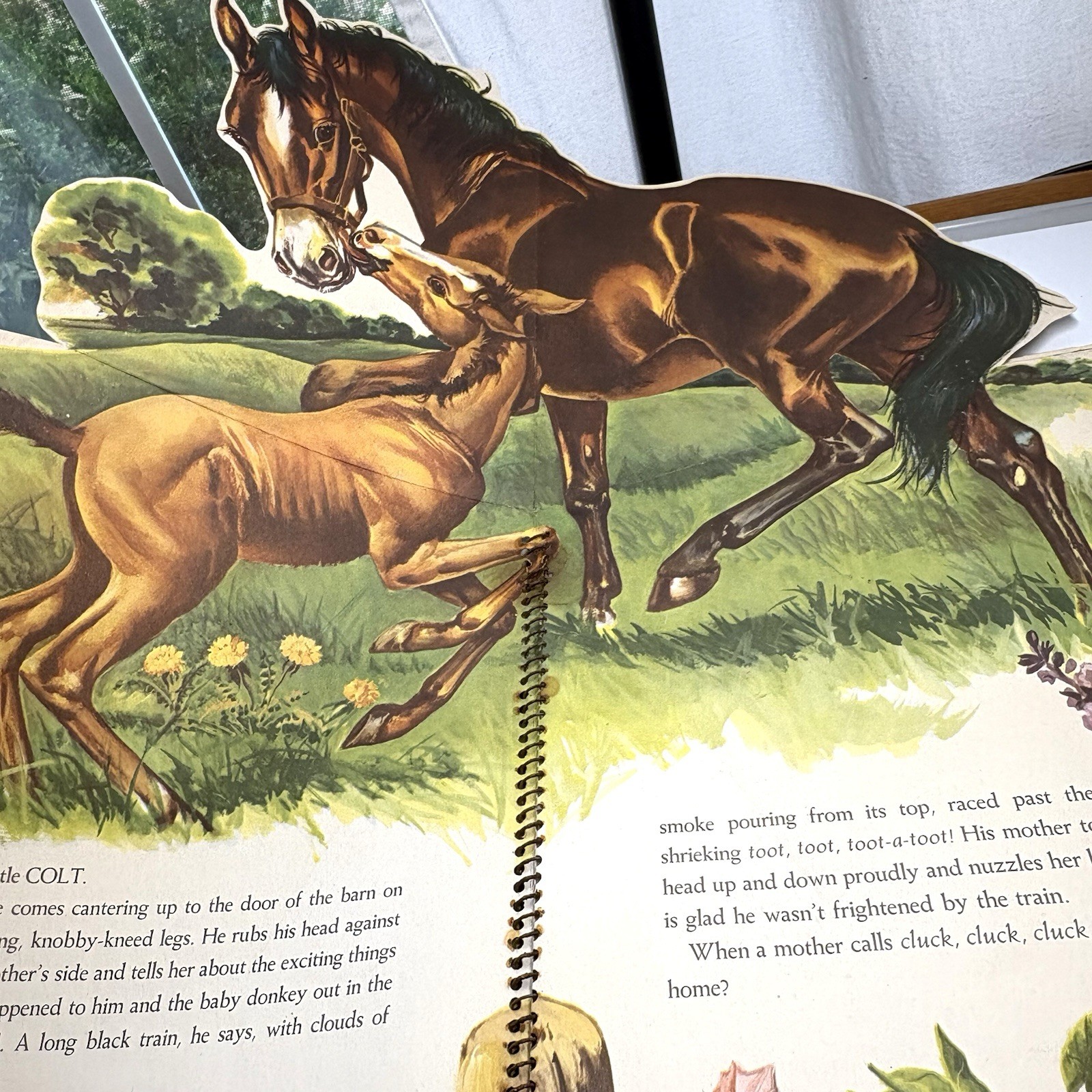 THE BIG JUMP UP FARM ANIMAL BOOK 1954 Huge Pop Ups Beautiful Illustrations