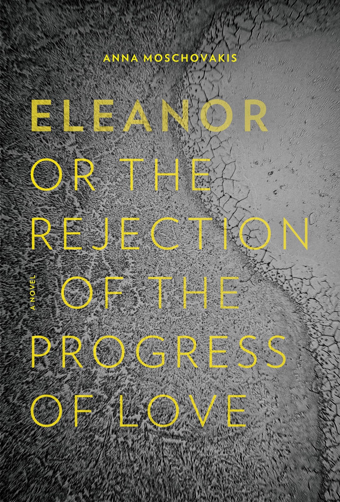 Eleanor, or, The Rejection of the Progress of Love