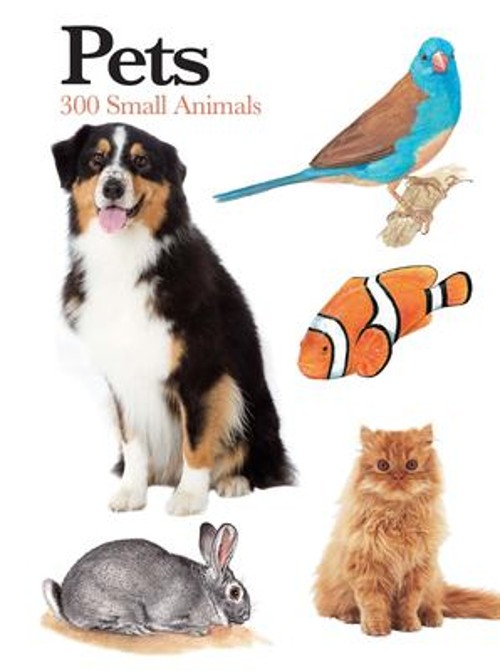 Pets : 300 Small Animals Paperback Claudia Martin