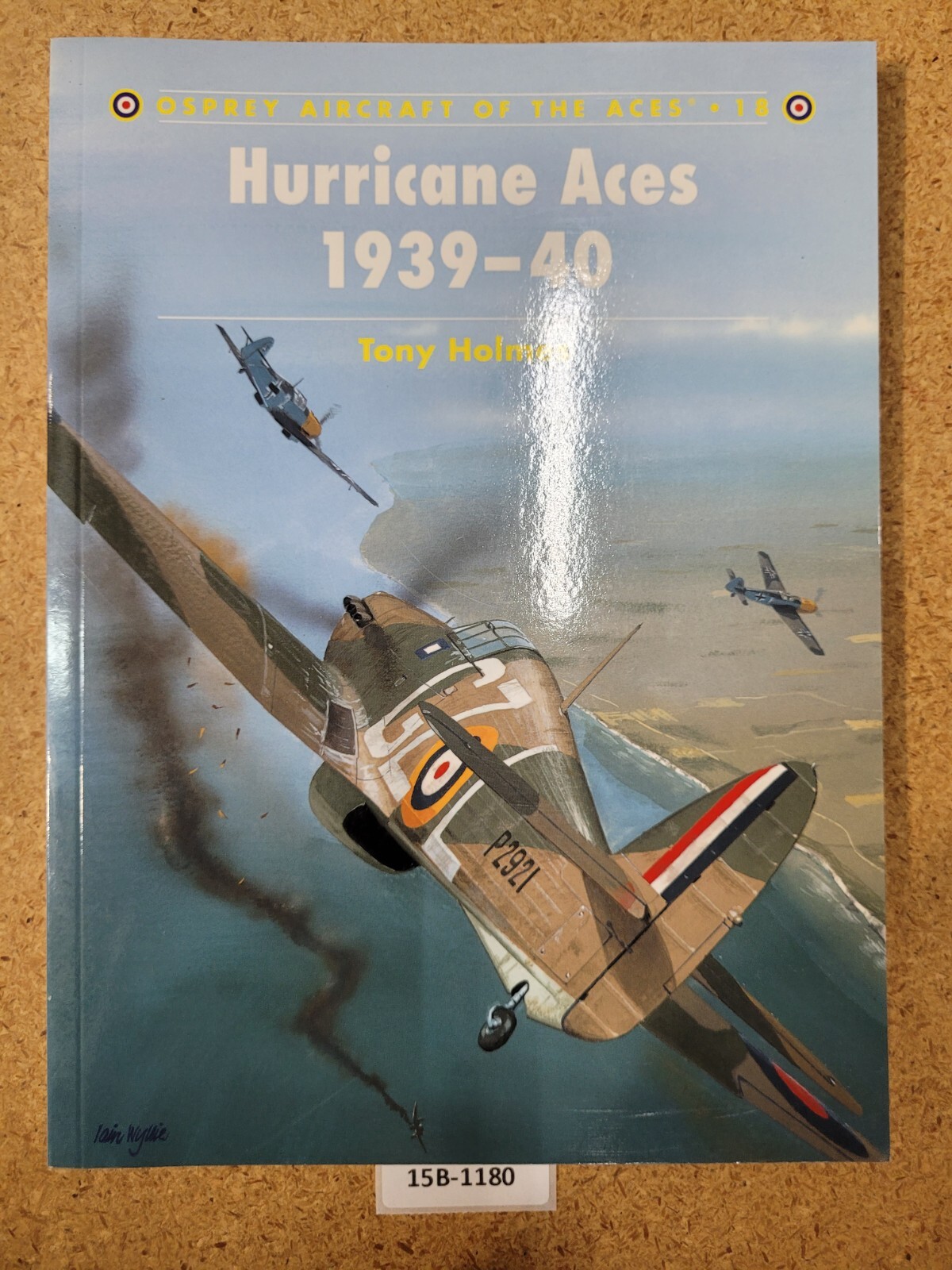 Hurricane Aces 1939–40 ~ Tony Holmes OSPREY (Aircraft of the Aces, #18)