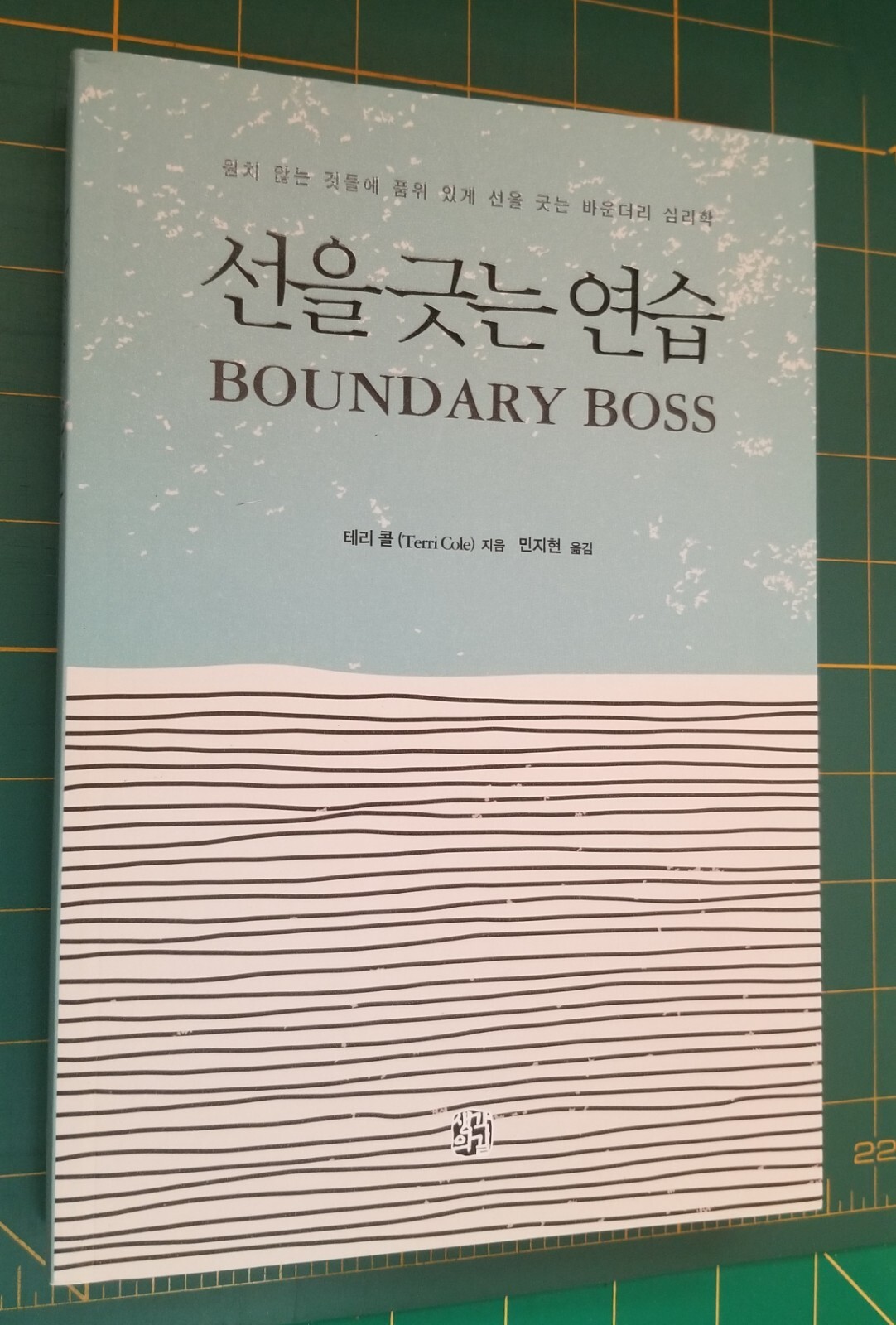 Boundary Boss by Terri Cole (Korean Language)