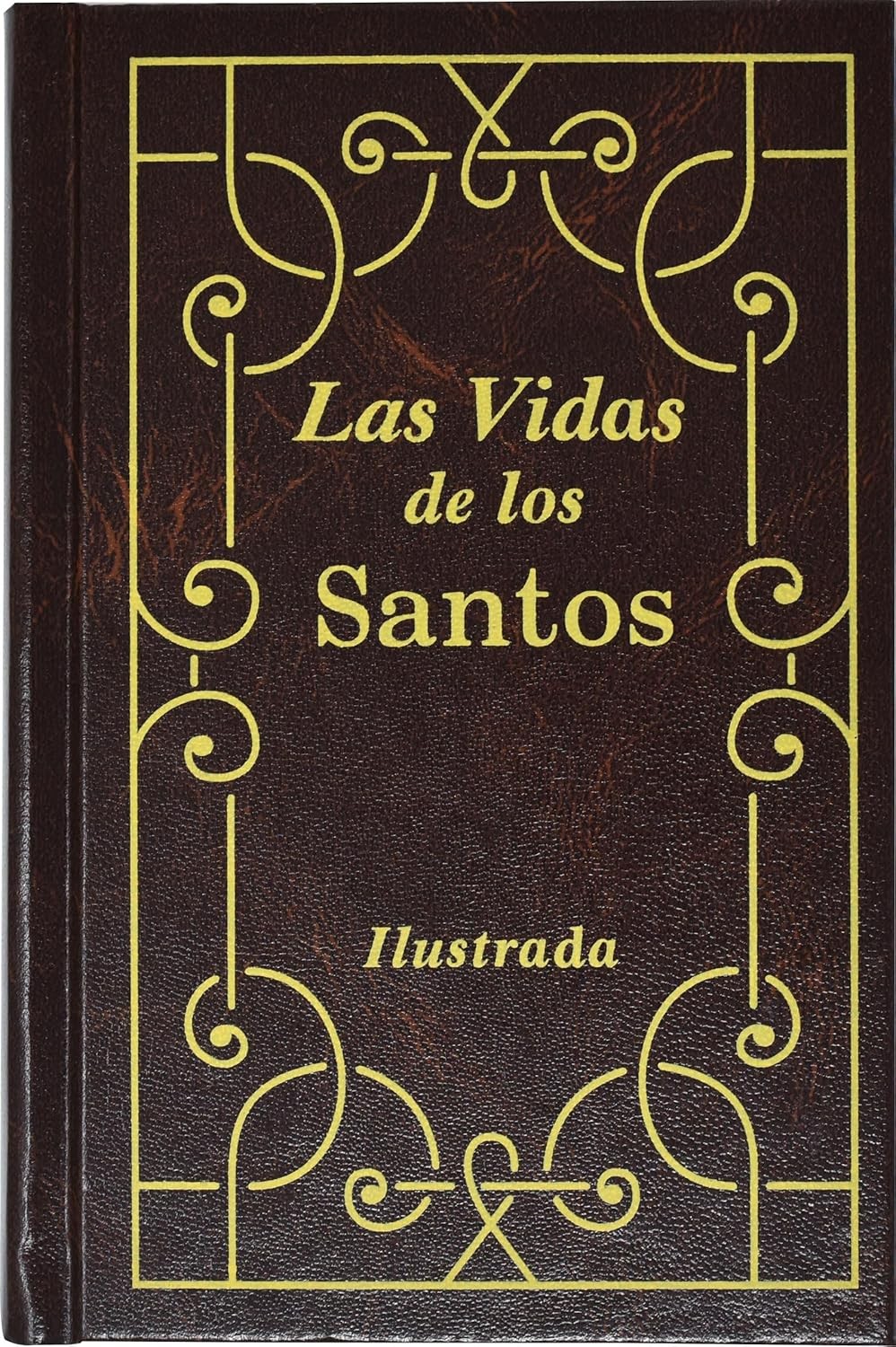 Las vidas de los santos Hardcover – Spanish Edition by H Hoever