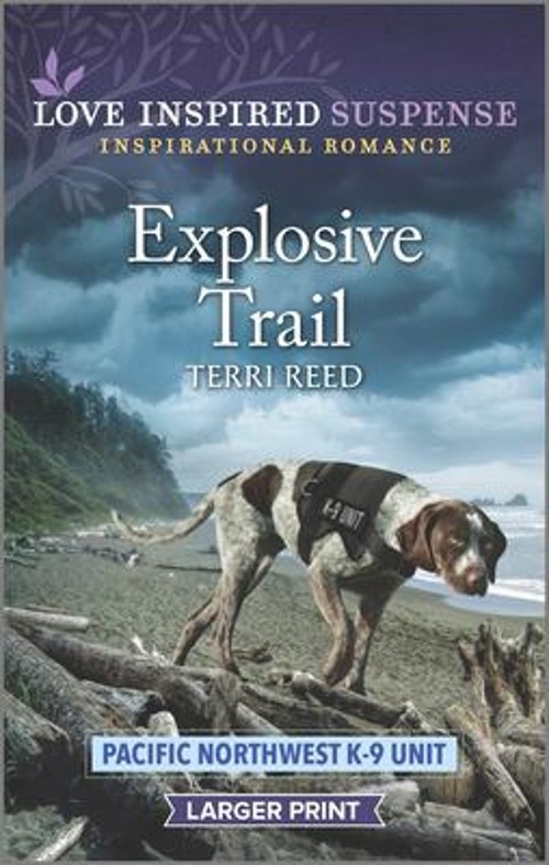 Explosive Trail Mass Market Paperbound Terri Reed